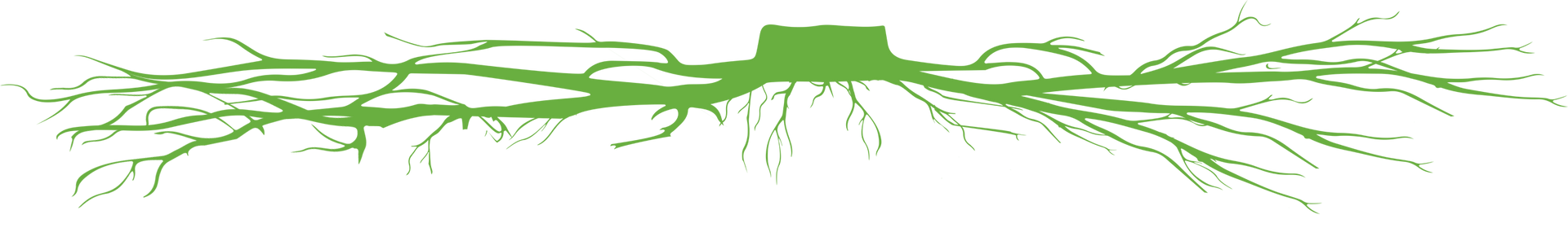 A green silhouette of a tree with roots on a white background.