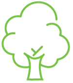 A green line drawing of a tree on a white background.