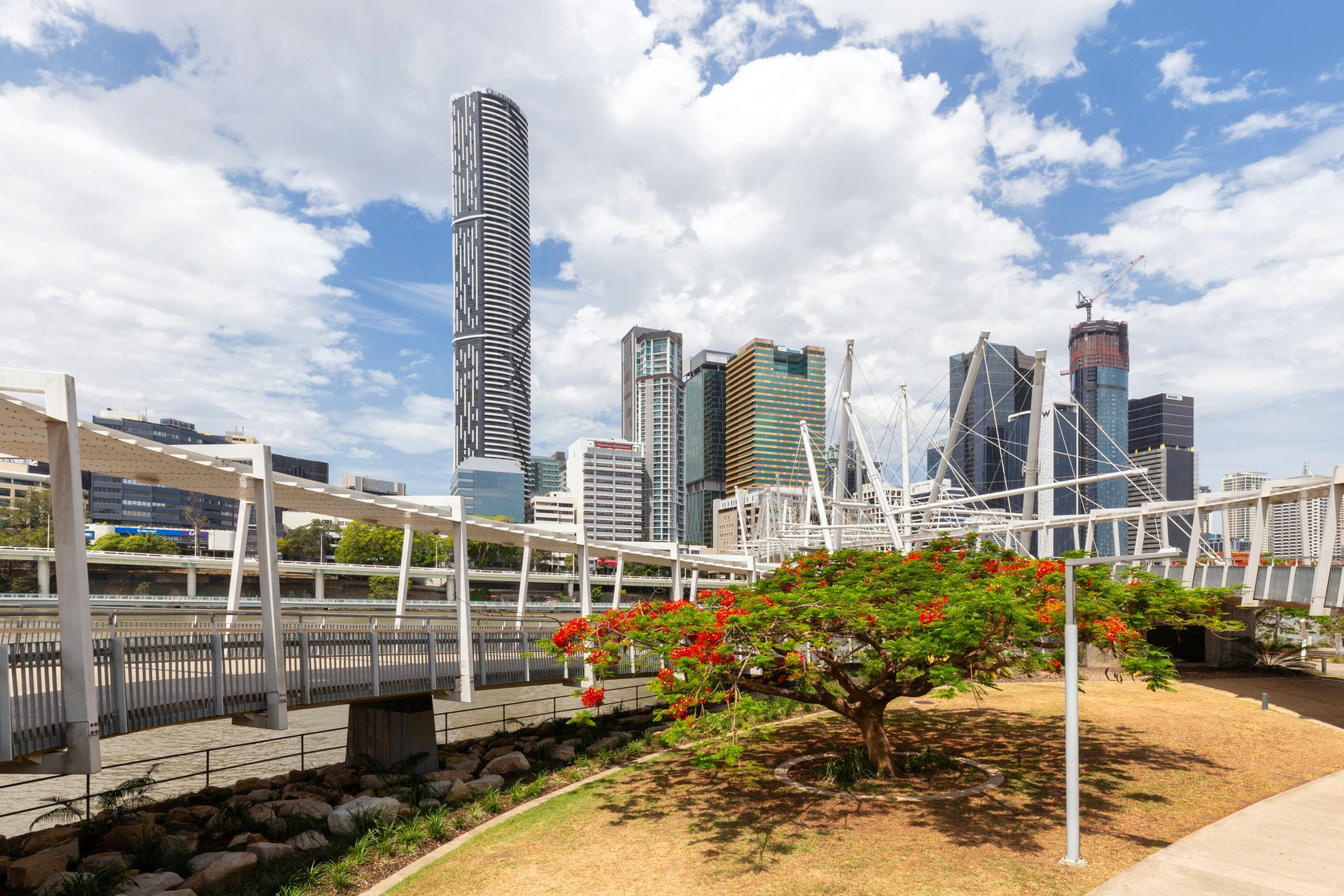 A bridge over a river with a city skyline in the background and a tree in the foreground.