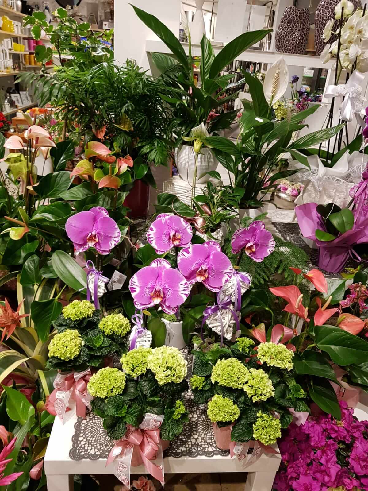 allestimento floreale