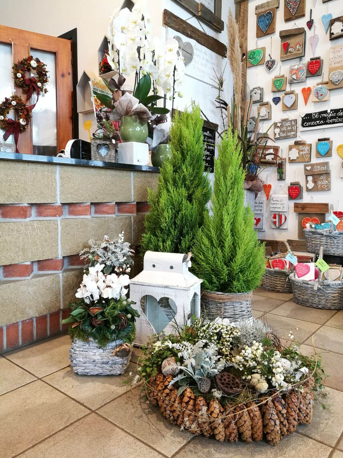 negozio di piante e fiori