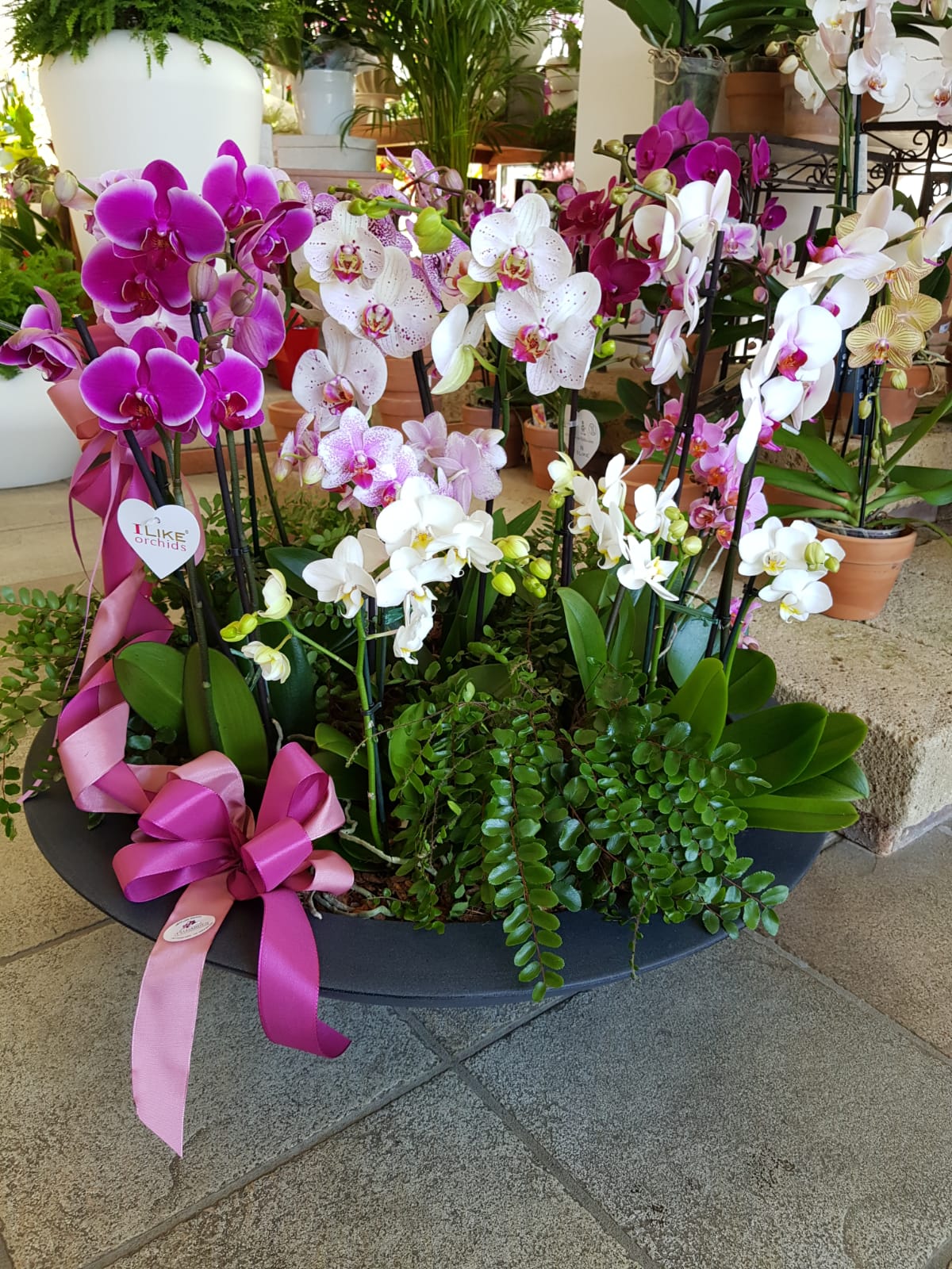 composizione floreale con orchidee