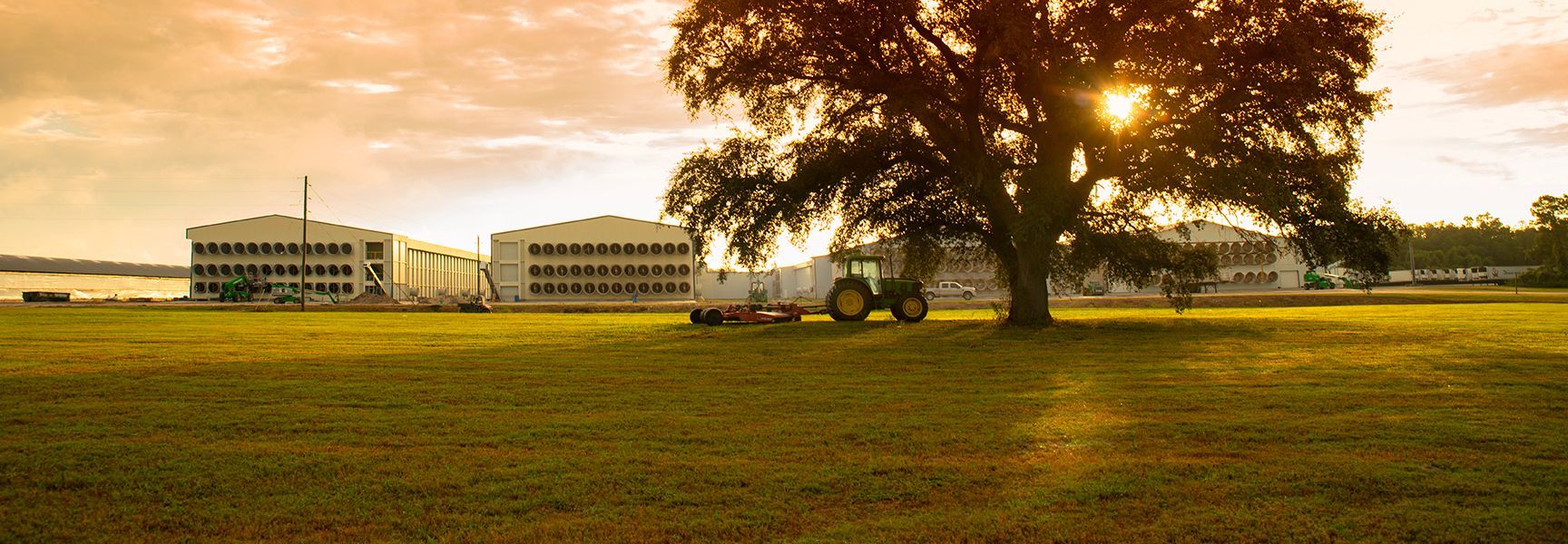 A scenic rural landscape at sunset with large industrial barns, a tractor, and a tree with sun shining through the branches.