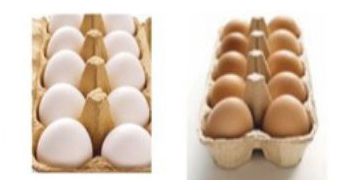 A dozen white eggs and a dozen brown eggs in paper cartons.
