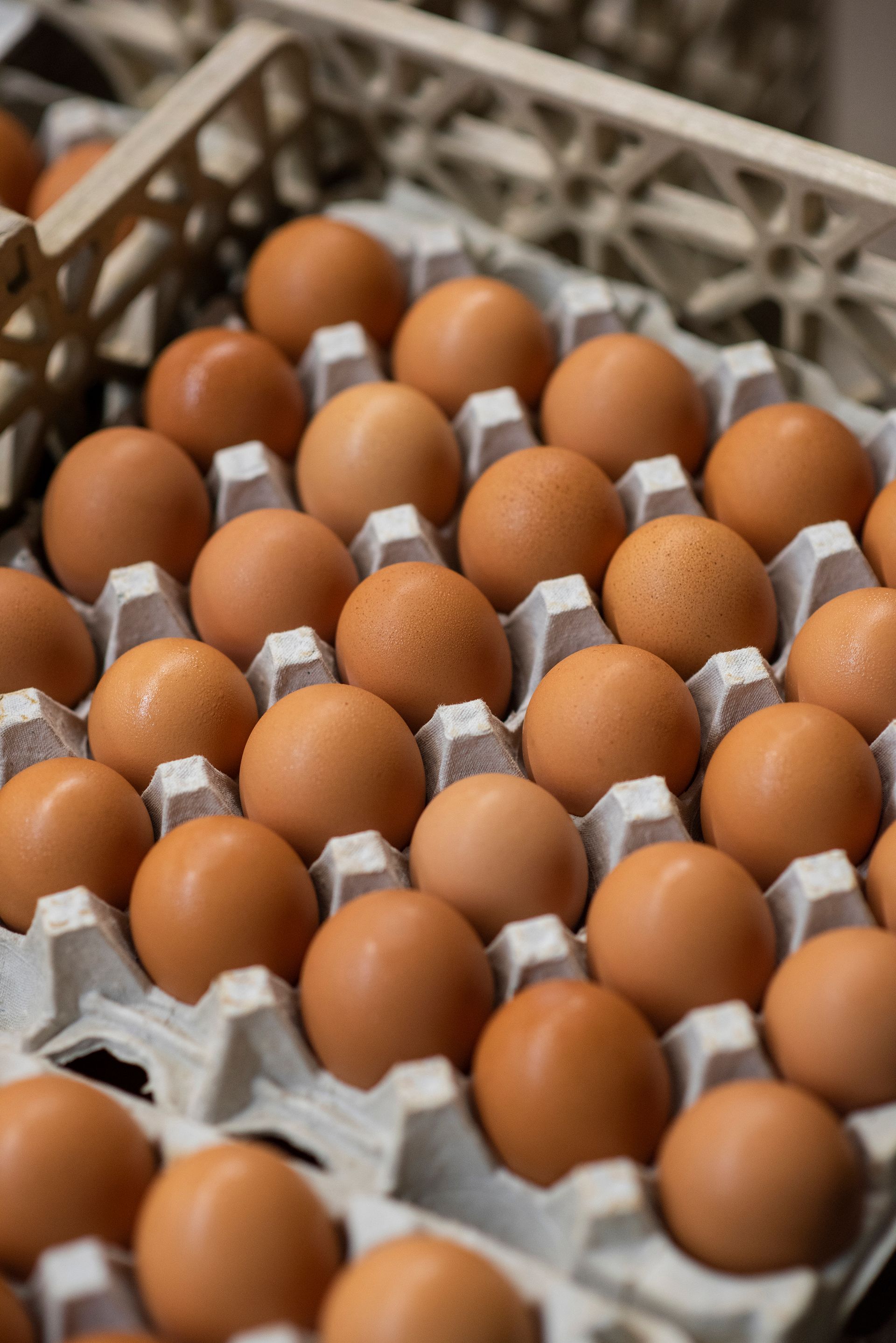 Close-up of brown eggs arranged neatly in cartons, stacked for storage or distribution.