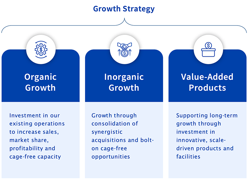 Growth Strategy Graph: Organic Growth, inorganic growth and Value-added Products.