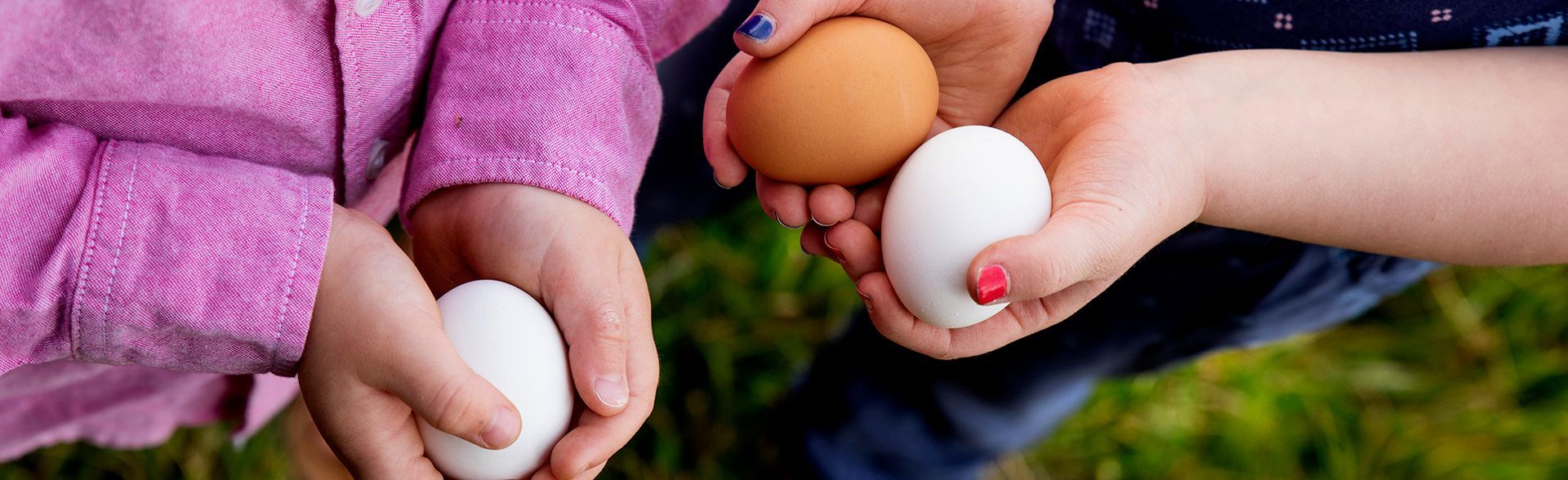 Close-up of children's hands holding brown and white eggs outdoors.