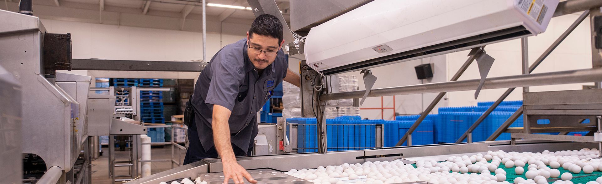 Factory worker in a grey uniform inspecting eggs on a conveyor belt in a processing facility, with industrial equipment in the background.