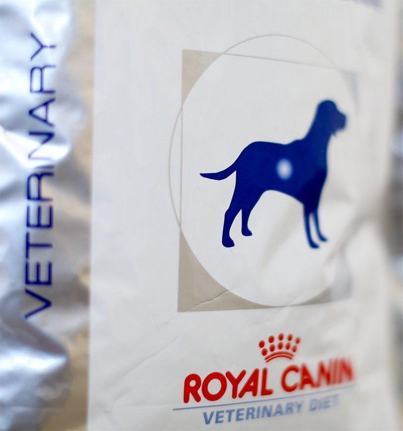 Royal Canine Close Up Image