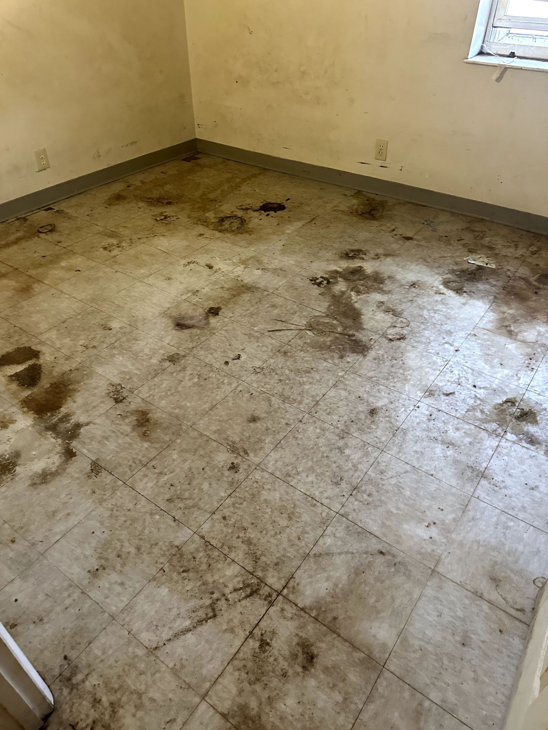 A before shot of a hoard cleanup in Pittsburgh, PA by Kingdom Bio Recovery & Restoration hard at work