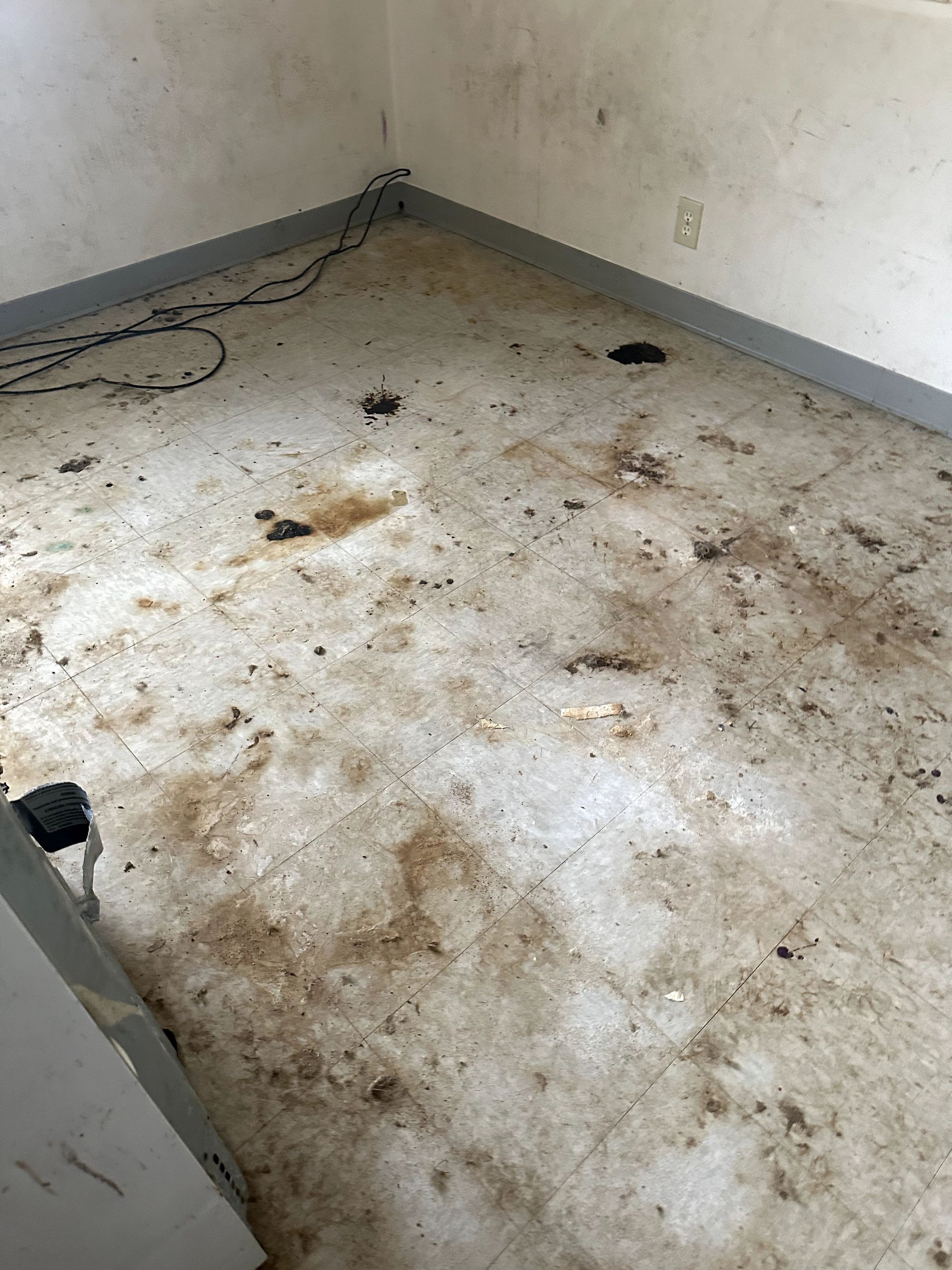 A before shot of a hoard cleanup in Pittsburgh, PA by Kingdom Bio Recovery & Restoration hard at work