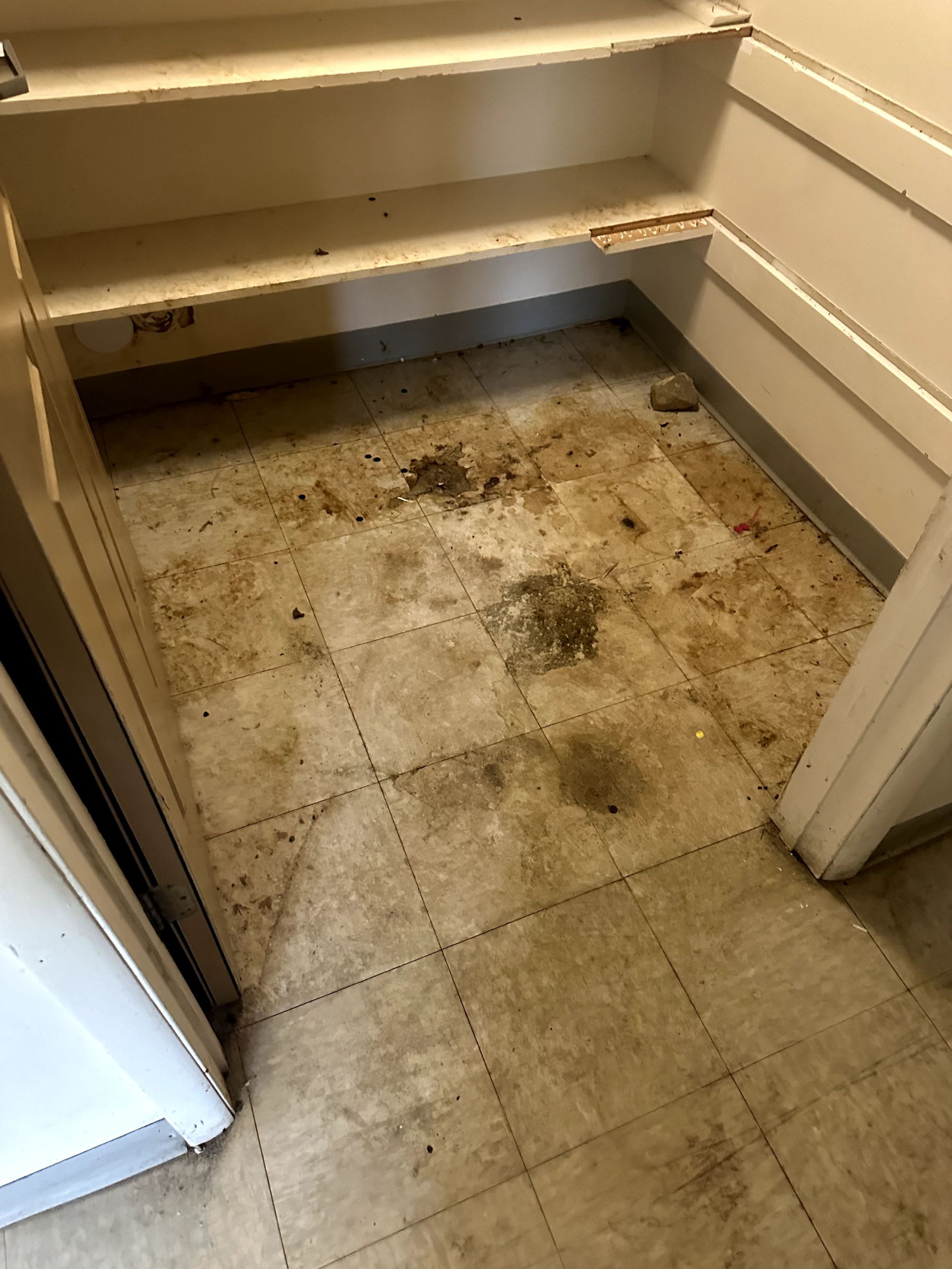 A before shot of a hoard cleanup in Pittsburgh, PA by Kingdom Bio Recovery & Restoration hard at work