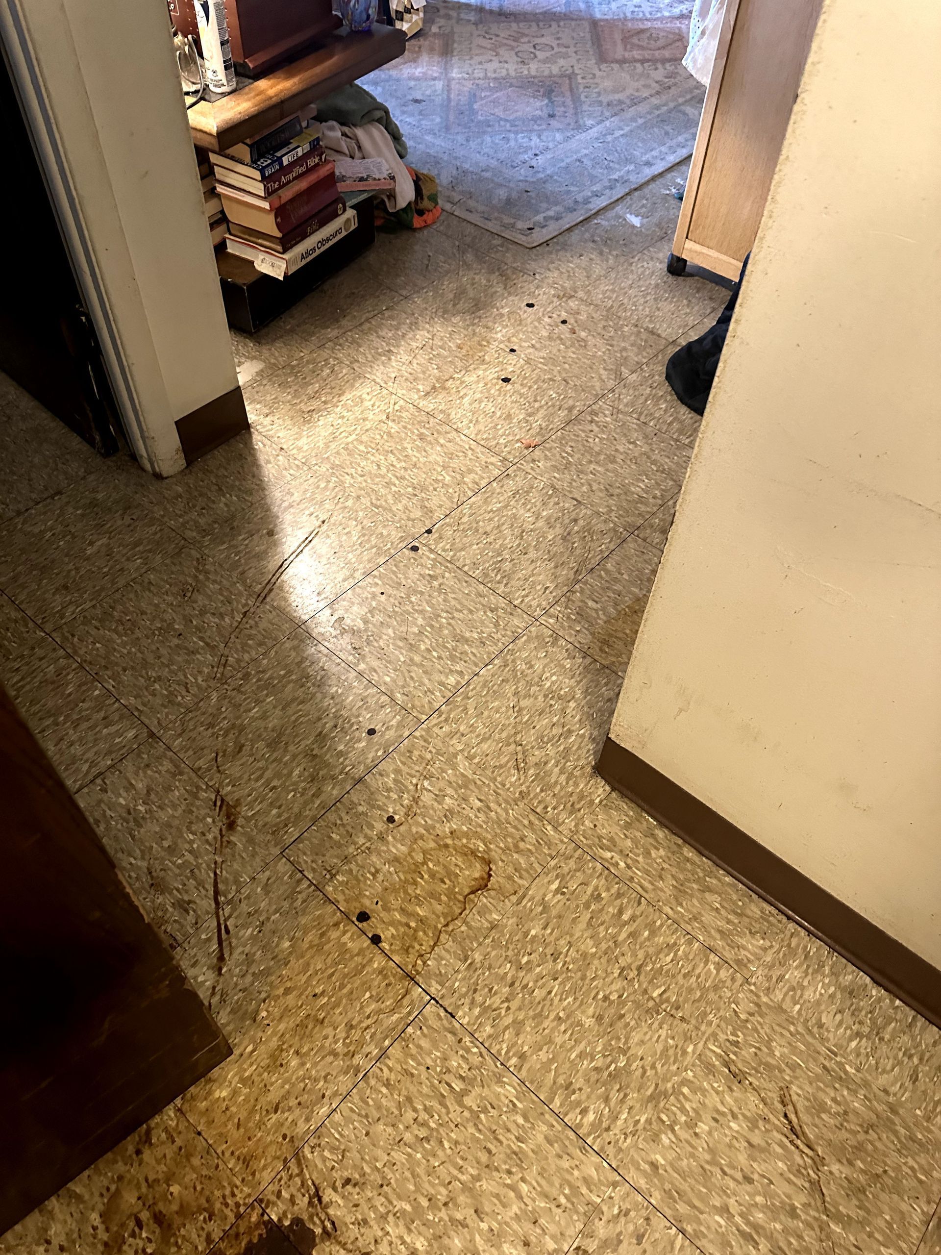 A before shot of a hoard cleanup in Pittsburgh, PA by Kingdom Bio Recovery & Restoration hard at work