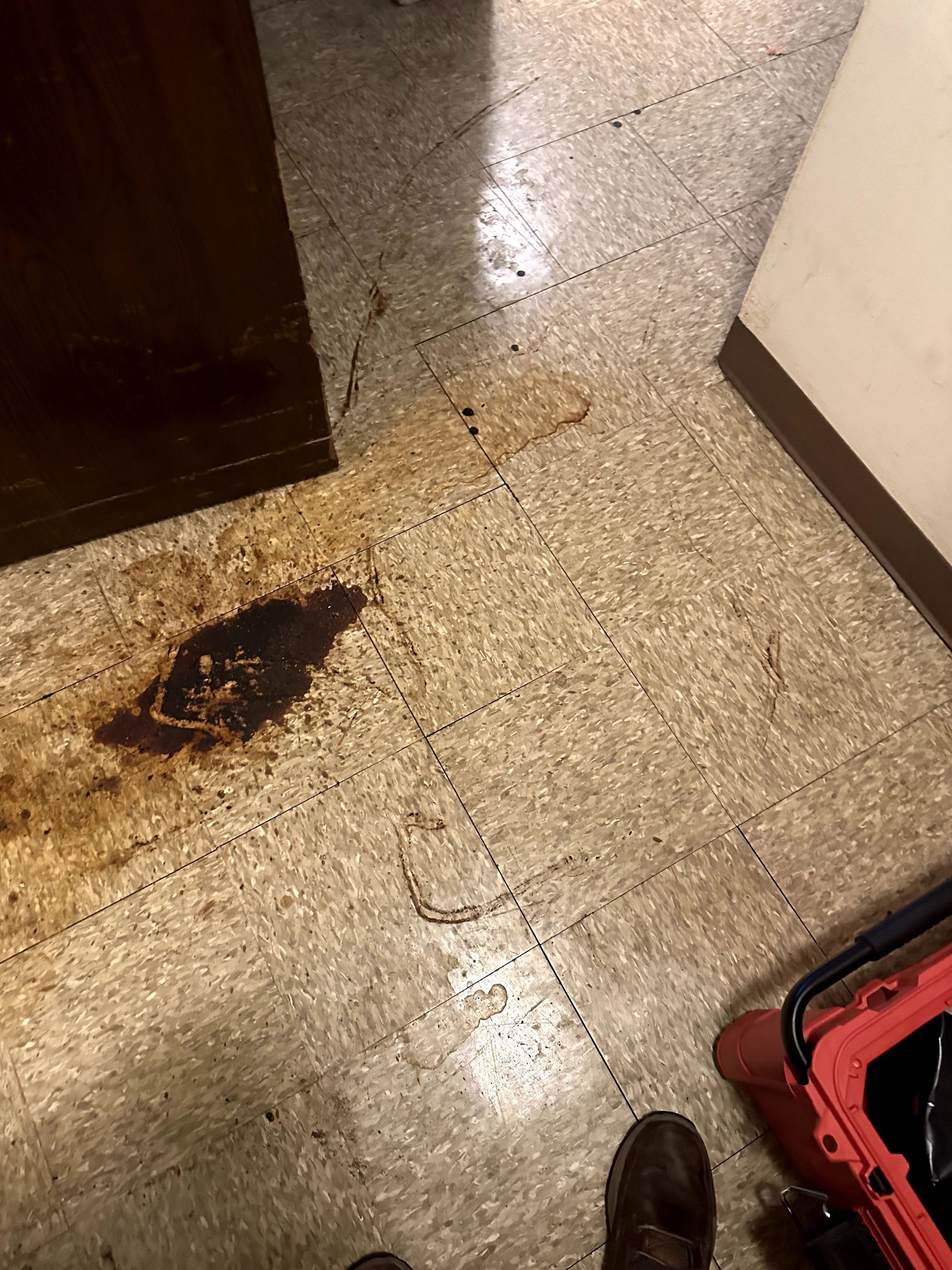 A before shot of a hoard cleanup in Pittsburgh, PA by Kingdom Bio Recovery & Restoration hard at work