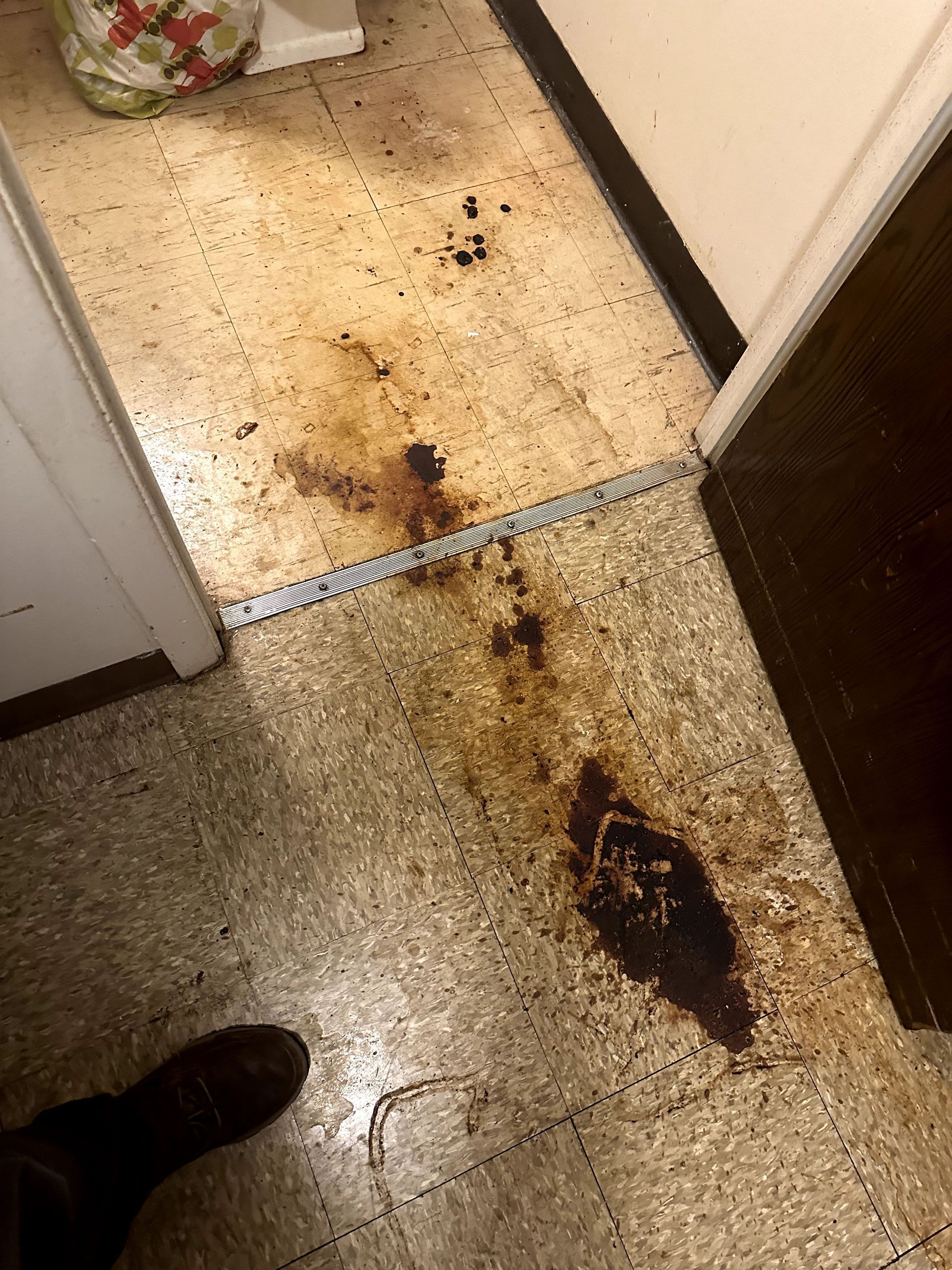 A before shot of a hoard cleanup in Pittsburgh, PA by Kingdom Bio Recovery & Restoration hard at work