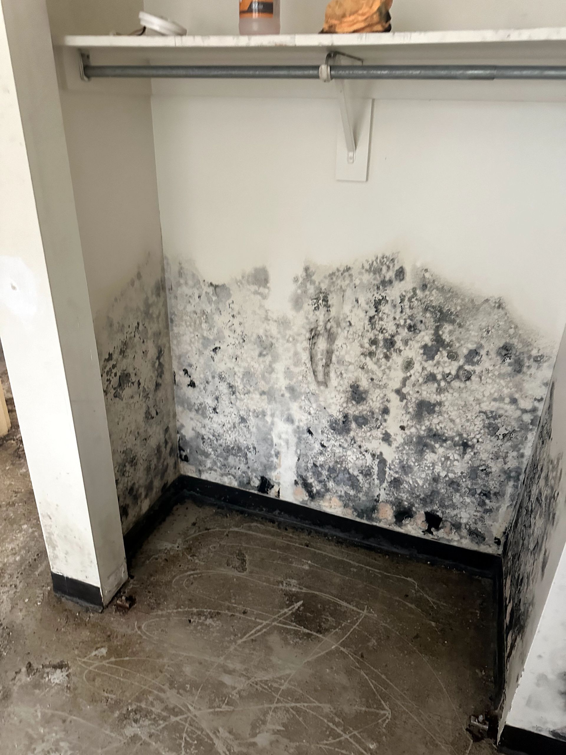 A during shot of a mold remediation in Pittsburgh, PA by Kingdom Bio Recovery & Restoration hard at work
