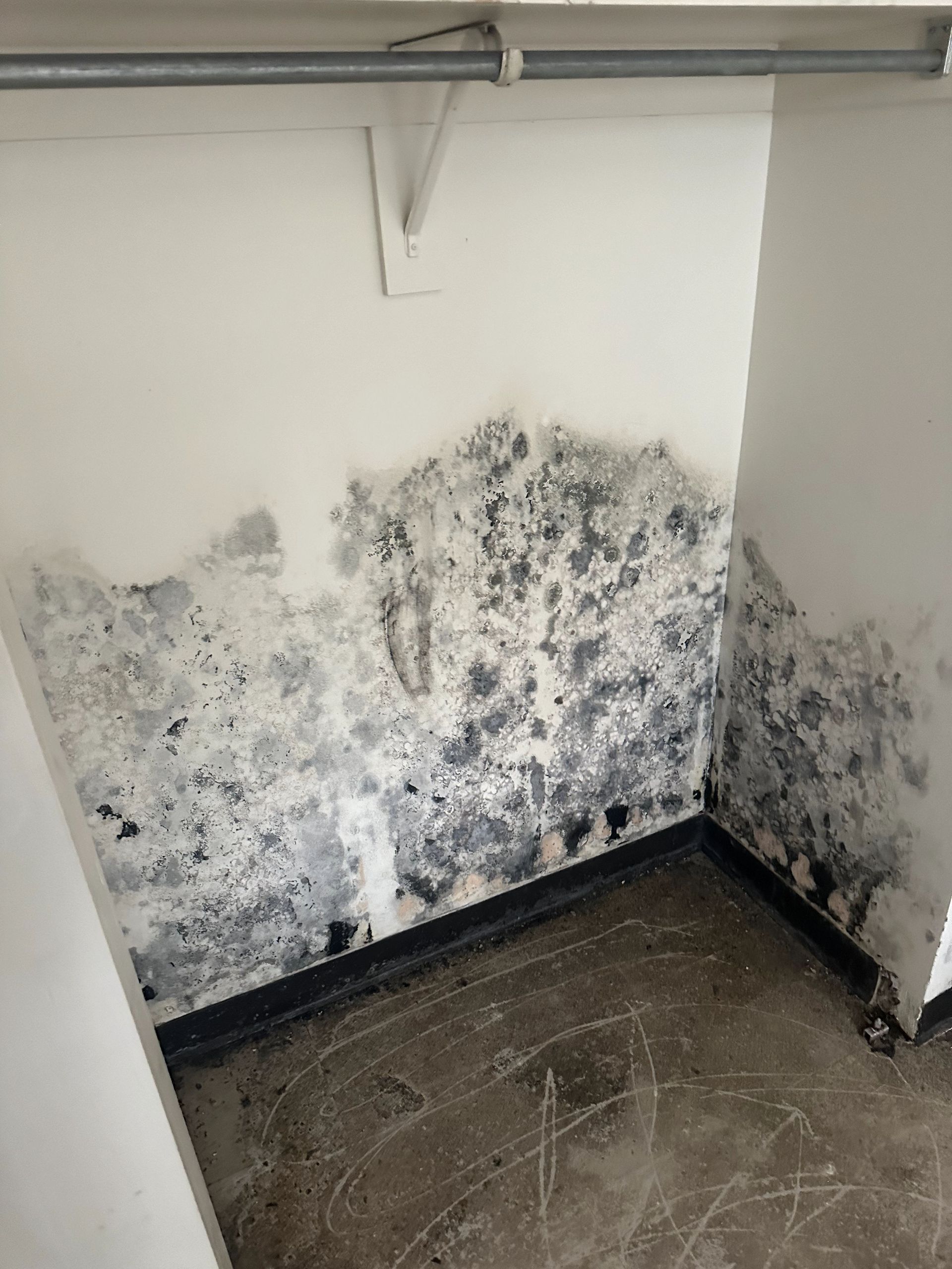 A during shot of a mold remediation in Pittsburgh, PA by Kingdom Bio Recovery & Restoration hard at work