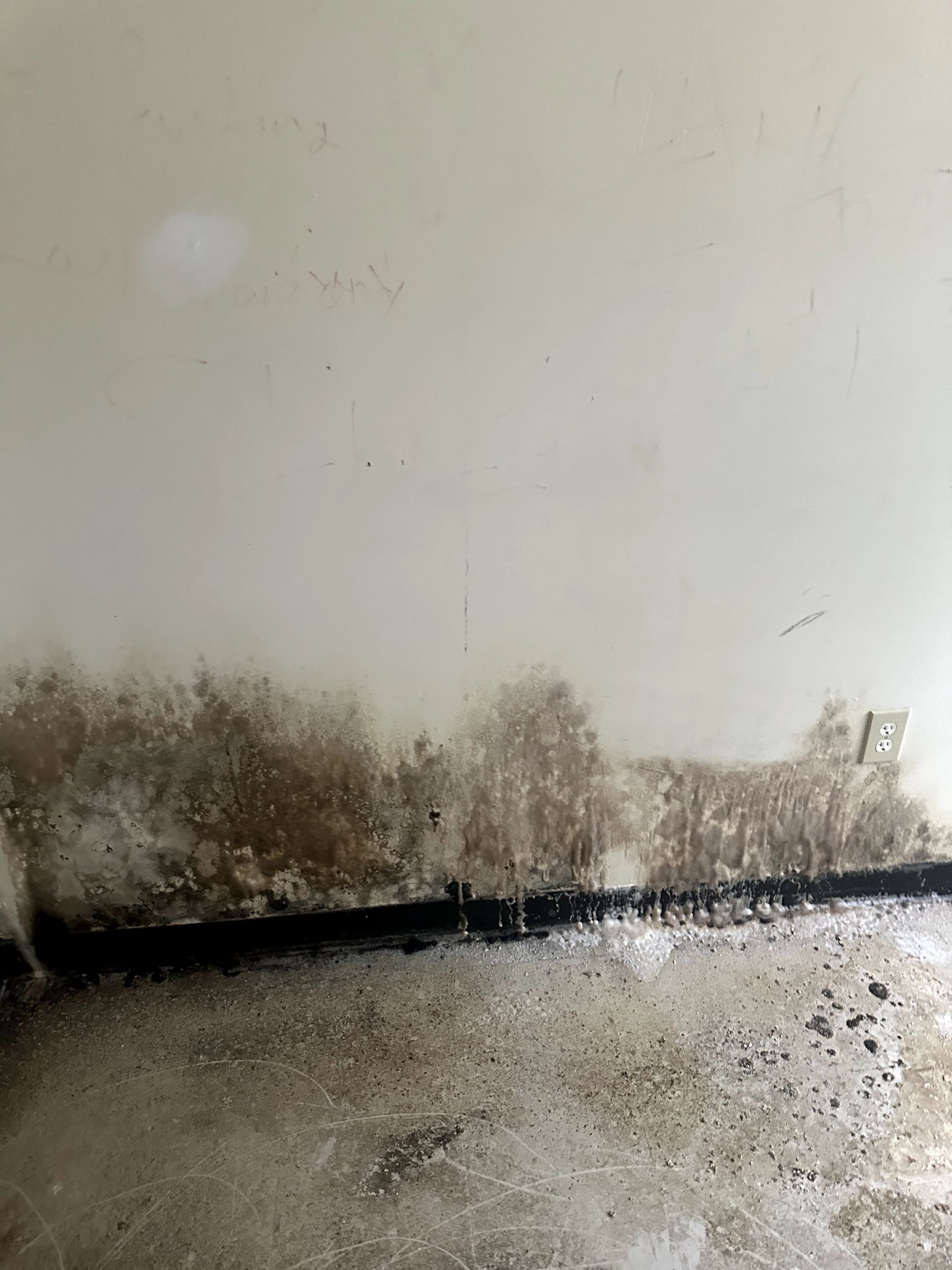 A during shot of a mold remediation in Pittsburgh, PA by Kingdom Bio Recovery & Restoration hard at work