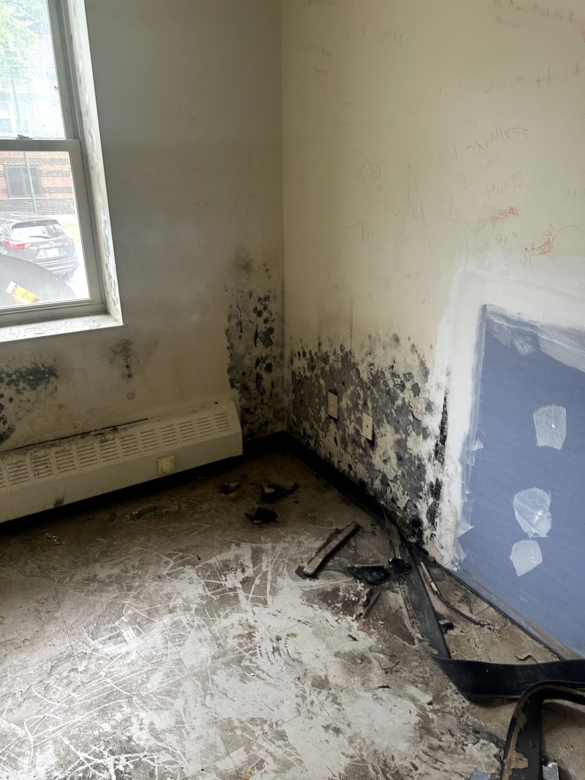 A during shot of a mold remediation in Pittsburgh, PA by Kingdom Bio Recovery & Restoration hard at work