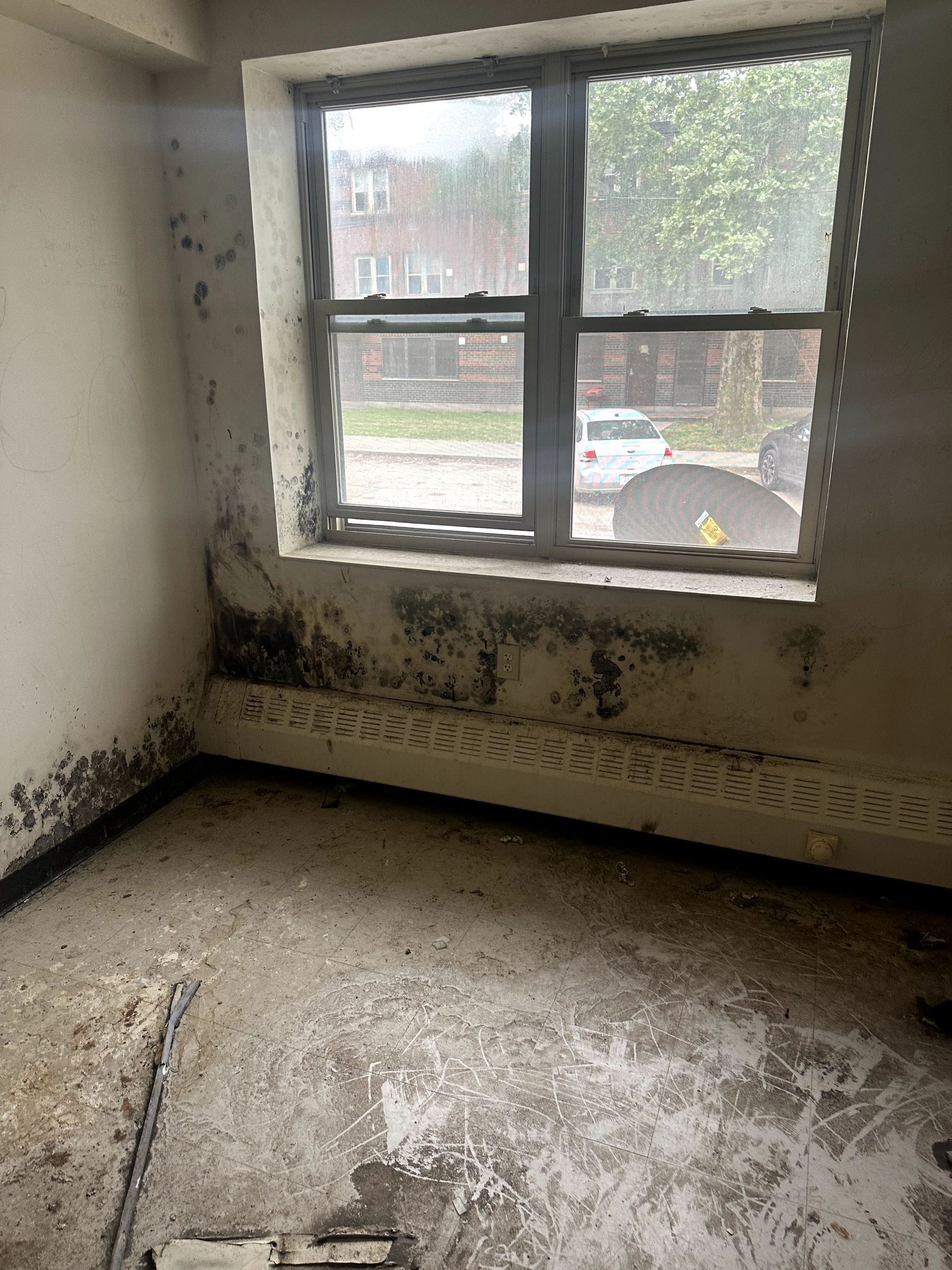 A during shot of a mold remediation in Pittsburgh, PA by Kingdom Bio Recovery & Restoration hard at work