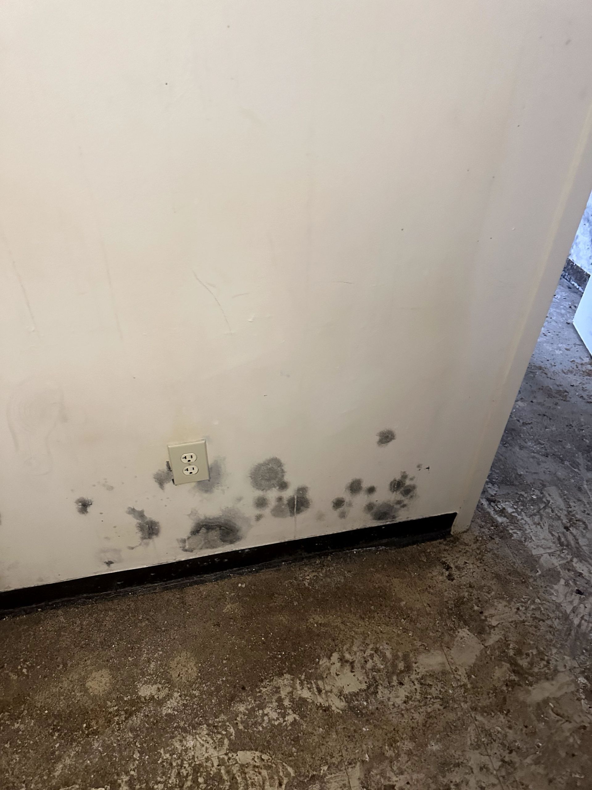 A during shot of a mold remediation in Pittsburgh, PA by Kingdom Bio Recovery & Restoration hard at work