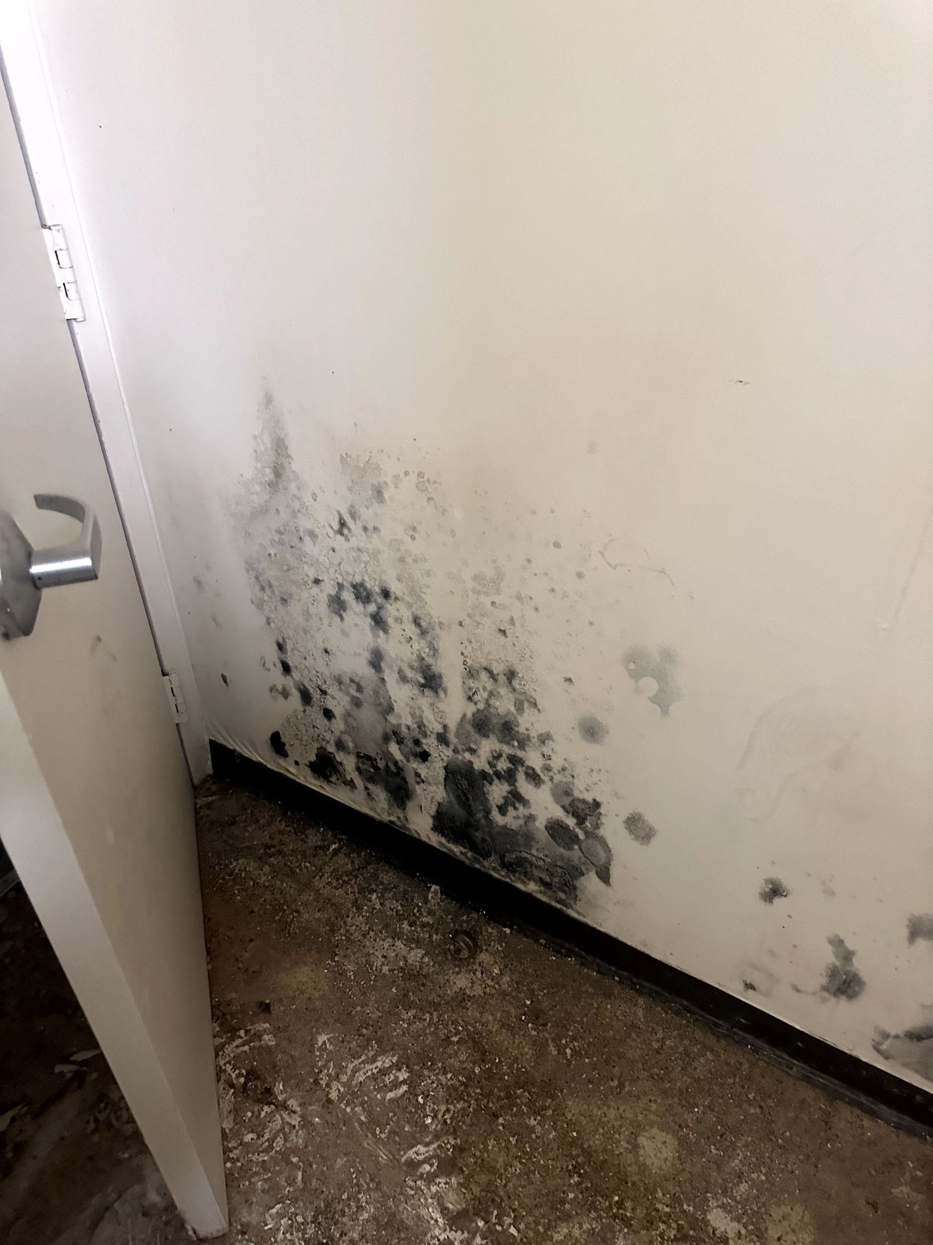 A during shot of a mold remediation in Pittsburgh, PA by Kingdom Bio Recovery & Restoration hard at work