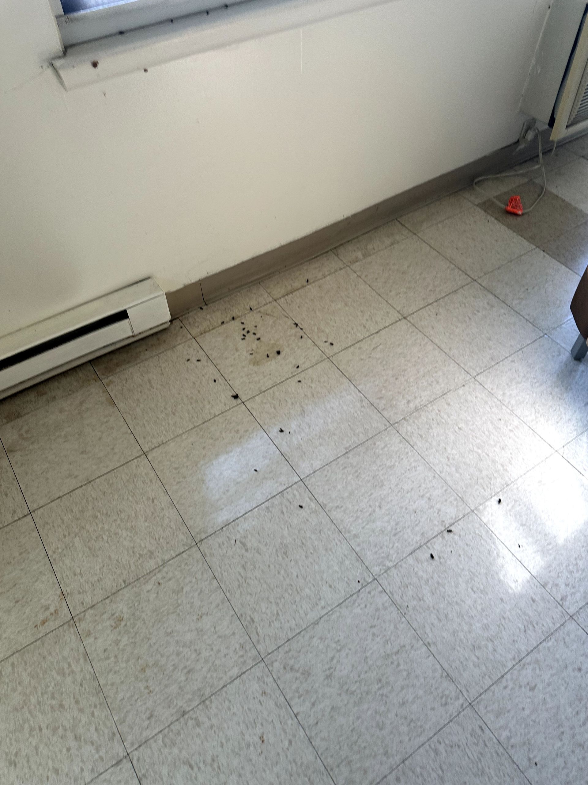 For biohazard cleanup services in Pittsburgh, PA - trust Kingdom Bio Recovery & Restoration