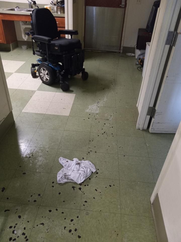 A before shot of a clean floor from a crime scene cleanup in Ohio by Kingdom Bio Recovery & Restoration