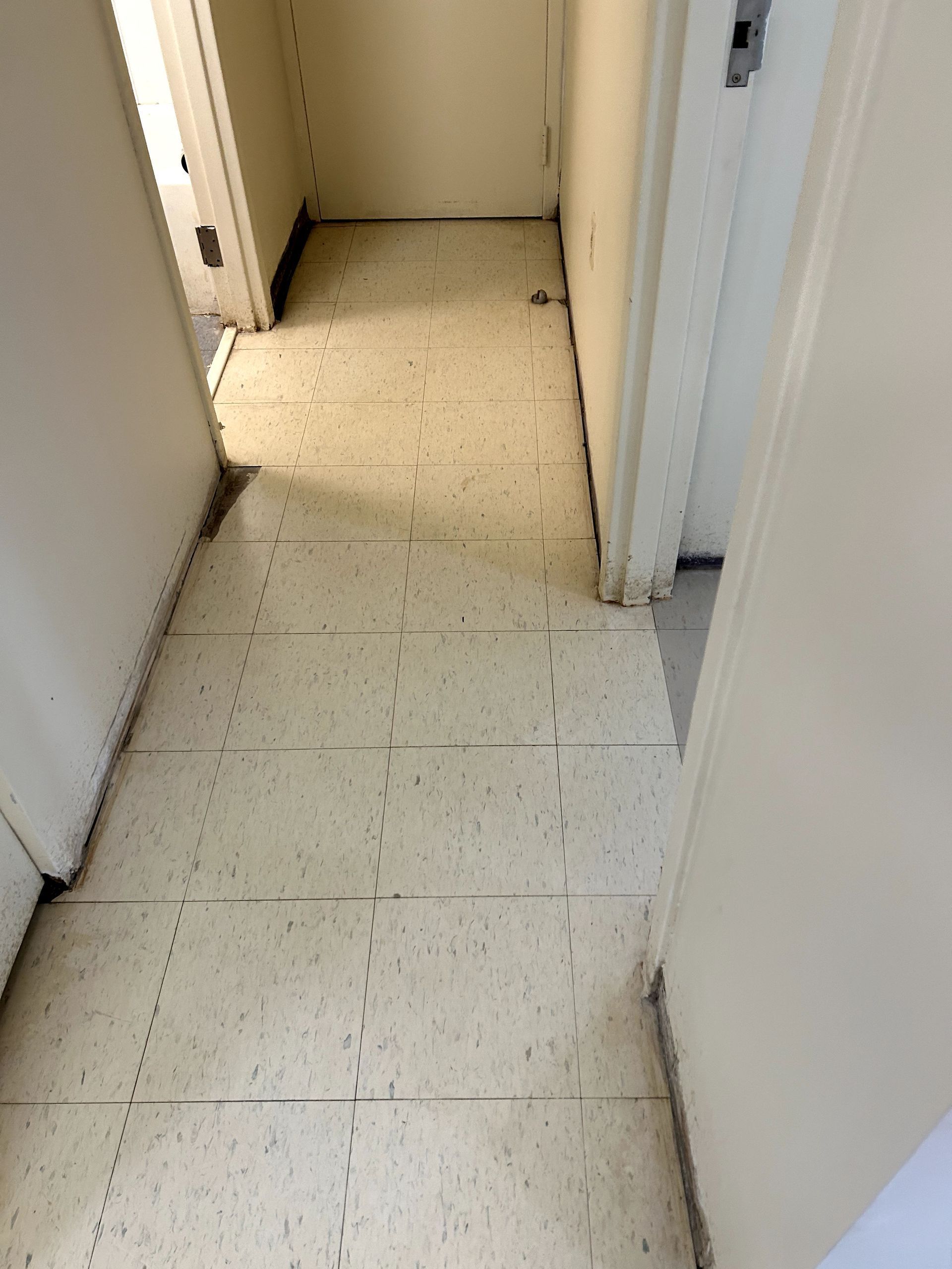 An after shot of a hoard cleanup in Ohio by Kingdom Bio Recovery & Restoration