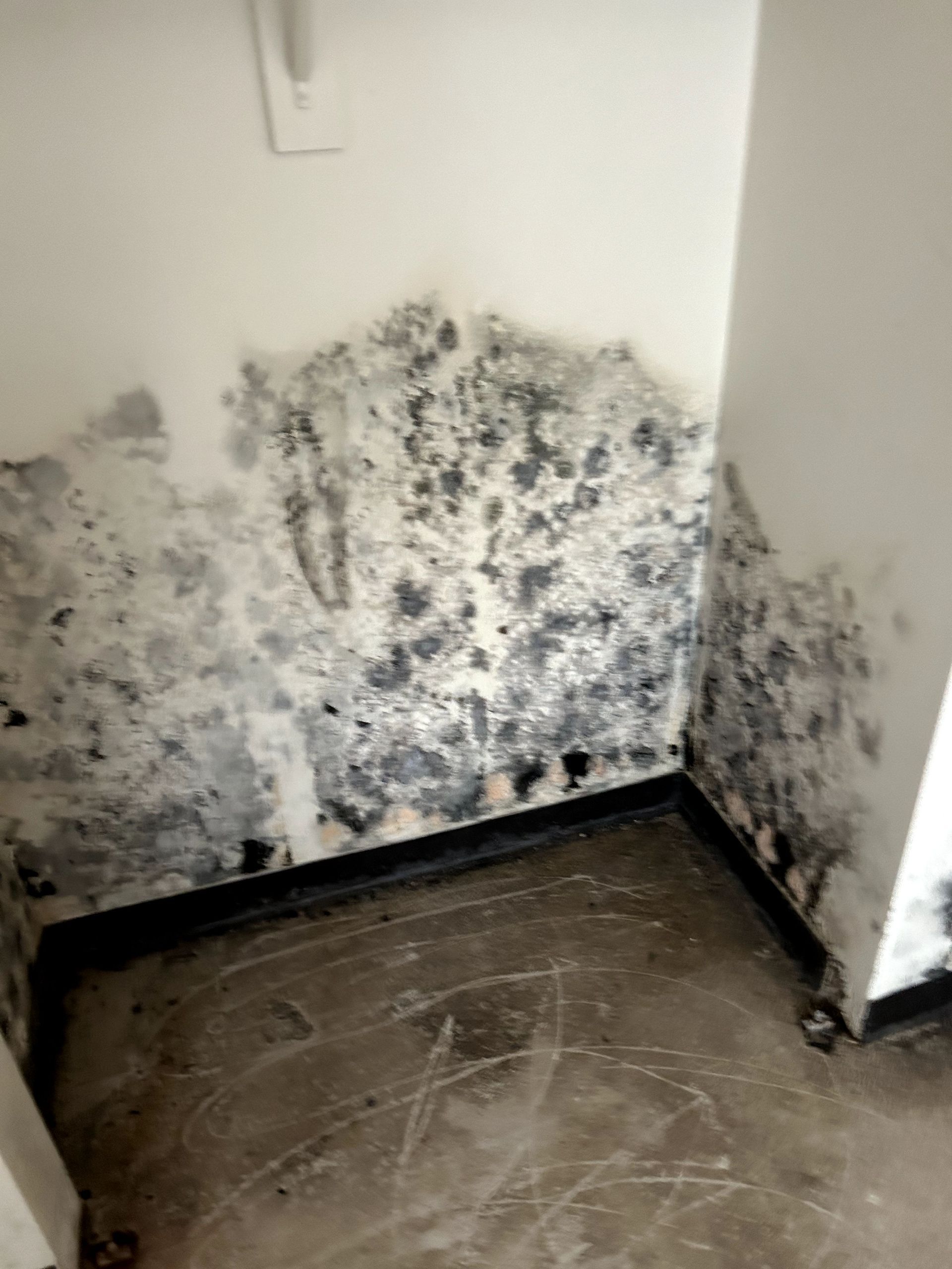 A before shot of a water damage restoration in Ohio by Kingdom Bio Recovery & Restoration