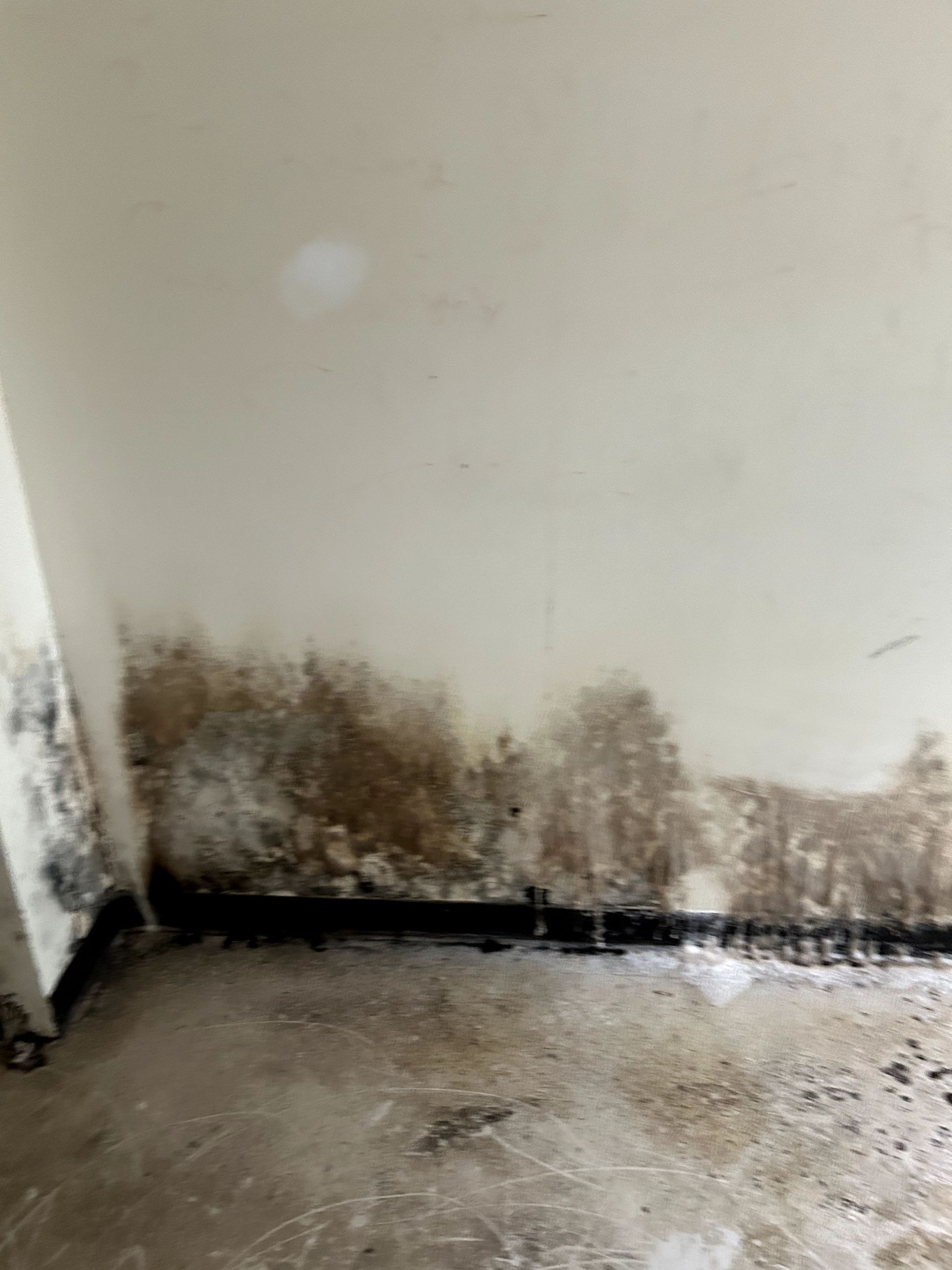 A before shot of a water damage restoration in Ohio by Kingdom Bio Recovery & Restoration