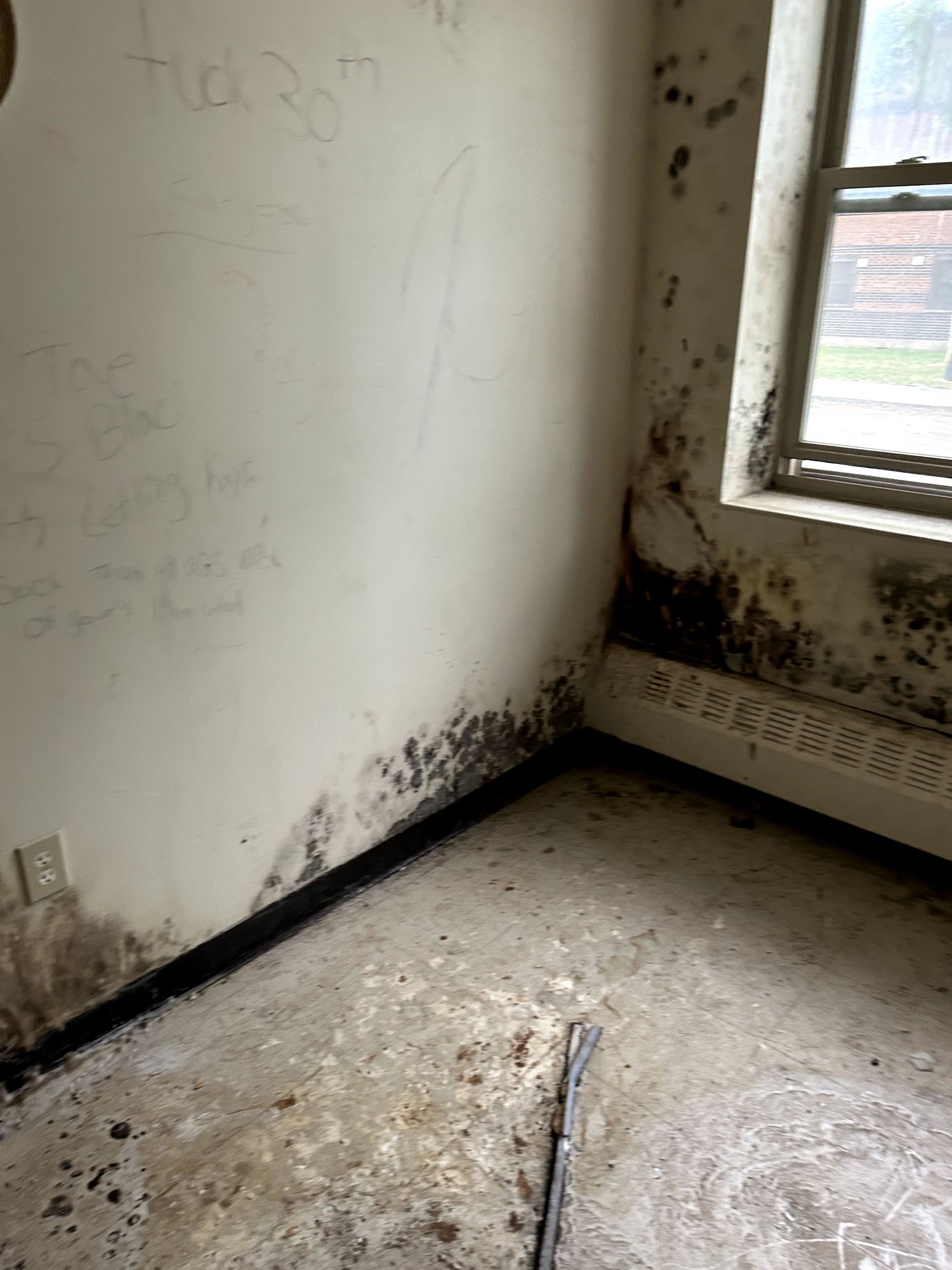 A before shot of a water damage restoration in Ohio by Kingdom Bio Recovery & Restoration