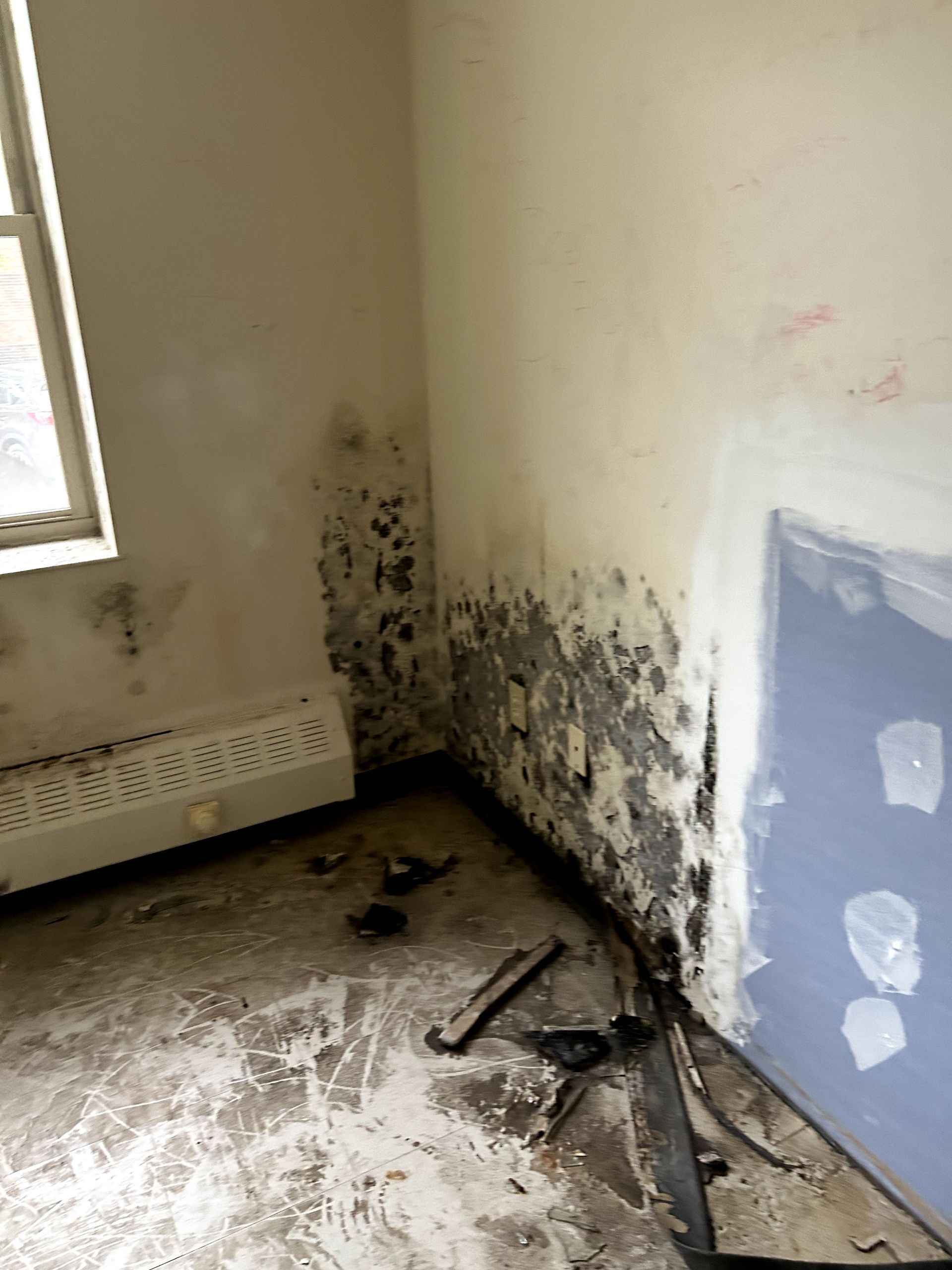 A before shot of a mold remediation in Ohio by Kingdom Bio Recovery & Restoration