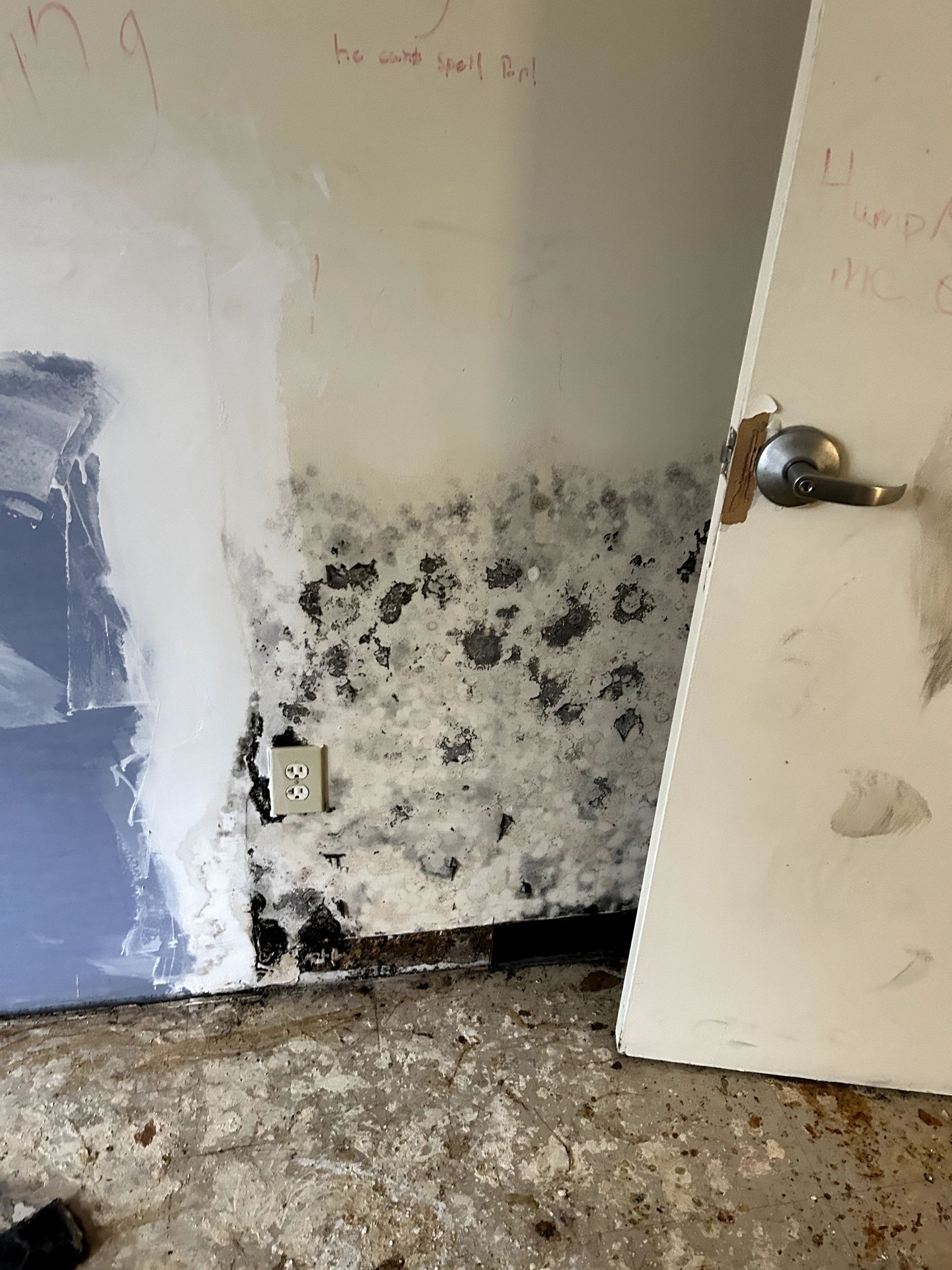 A before shot of a mold remediation in Ohio by Kingdom Bio Recovery & Restoration
