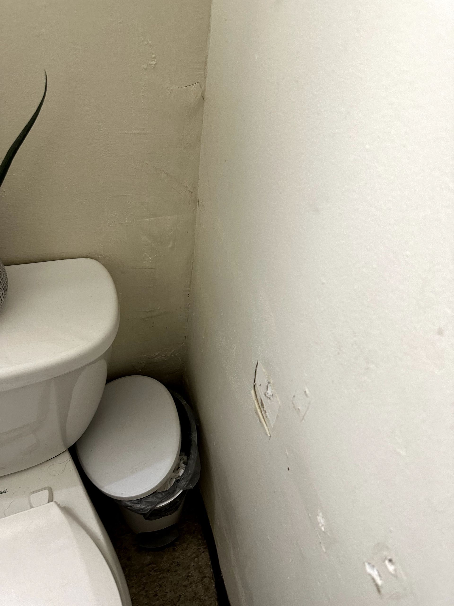 An after shot of a bathroom in a hoard cleanup in Pittsburgh, PA by Kingdom Bio Recovery & Restoration