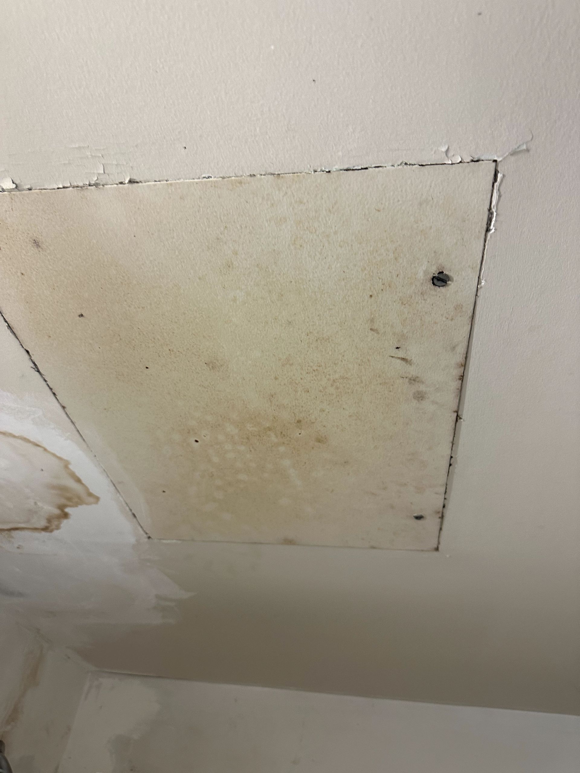 A before shot of a trauma cleanup in Pittsburgh, PA by Kingdom Bio Recovery & Restoration hard at work