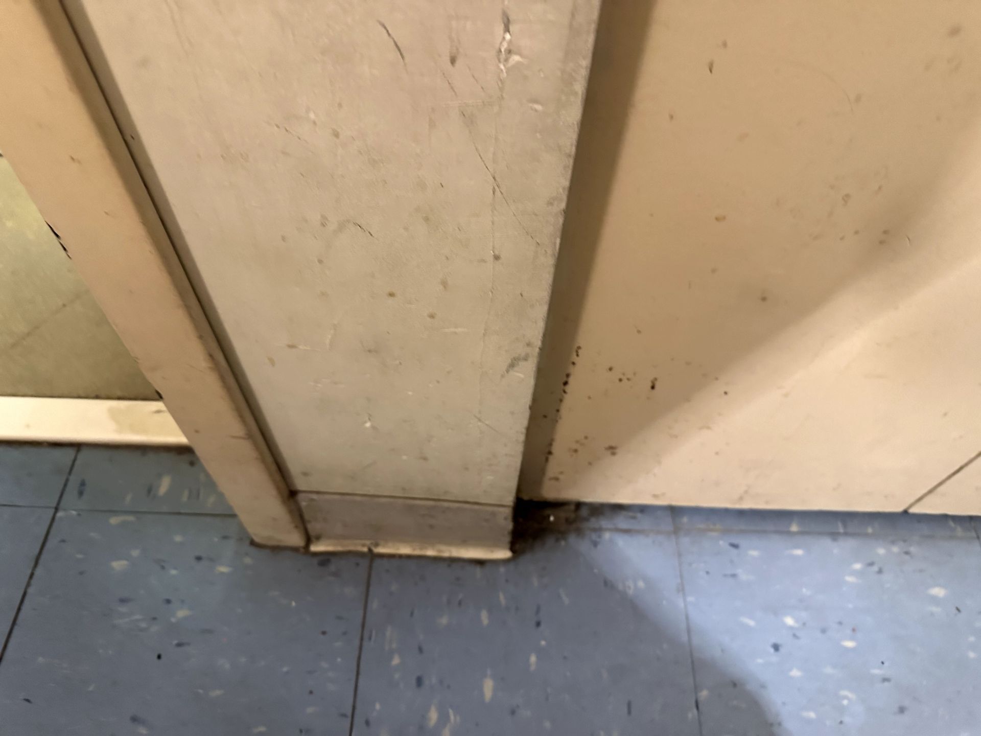 A before shot of a bathroom from a hoard cleanup in Pittsburgh, PA by Kingdom Bio Recovery & Restoration