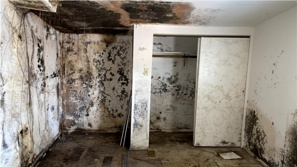 A before shot of a mold restoration in Pittsburgh, PA by Kingdom Bio Recovery & Restoration