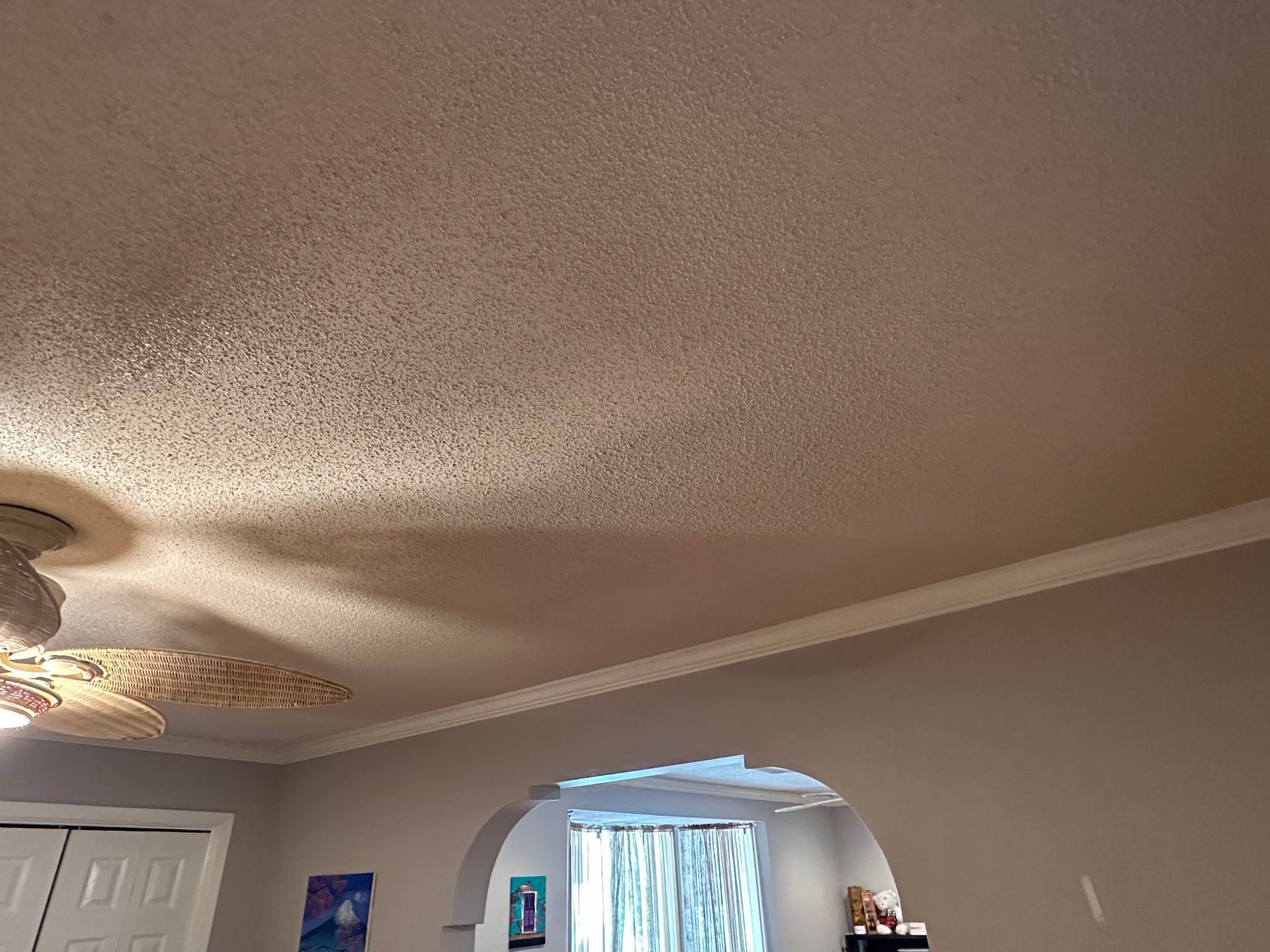 A living room with a ceiling fan and a window.
