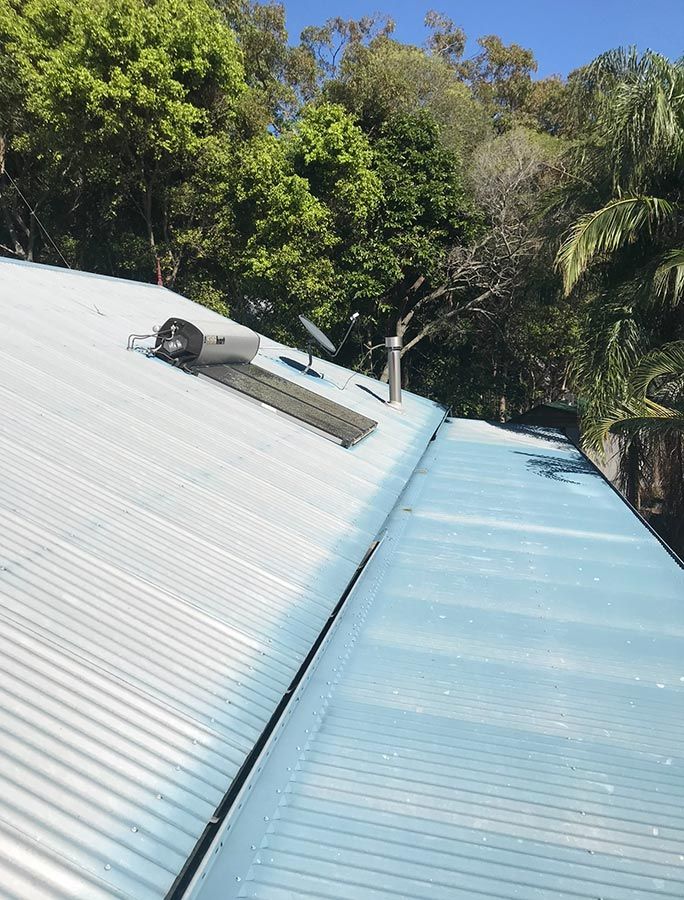 A White Roof With a Skylight on It is Surrounded by Trees — House & Roof Painting & Restorations In Maroochydore, QLD