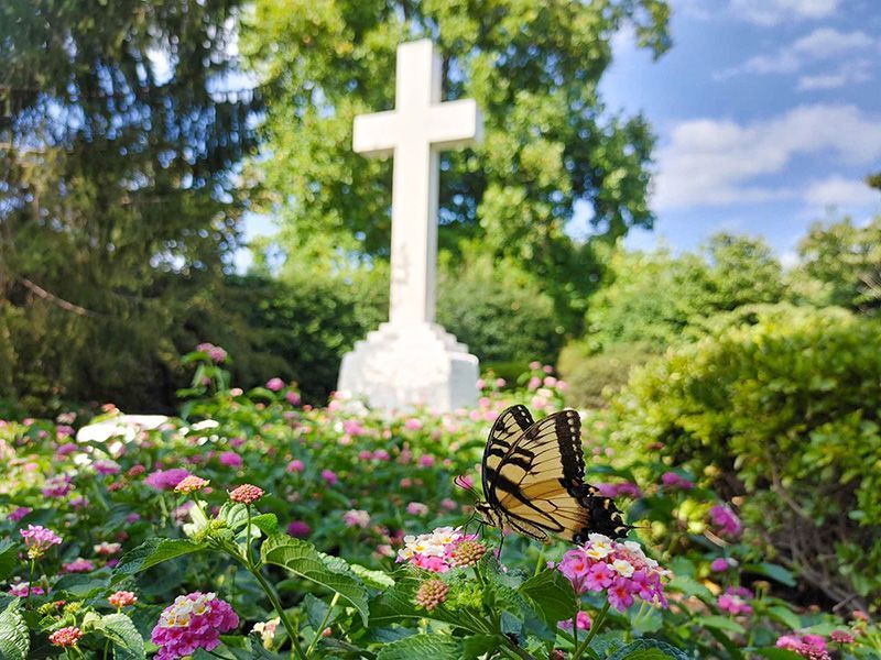a butterfly sits on a flower in front of a cross KCA, KY