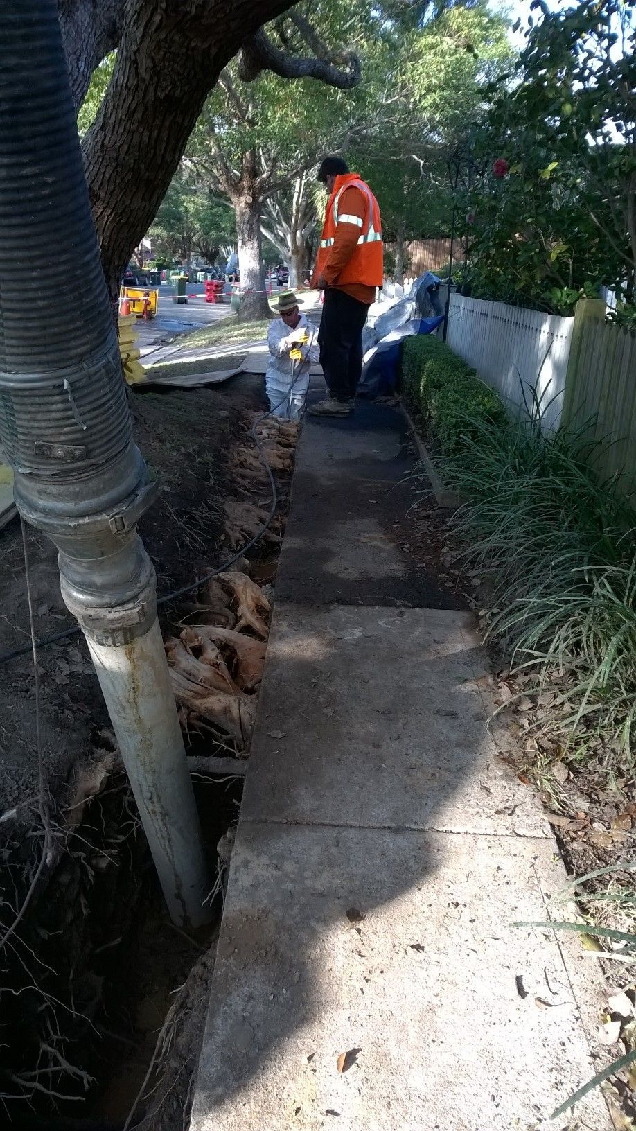 Non-destructive digging of a nature strip for a local council.
