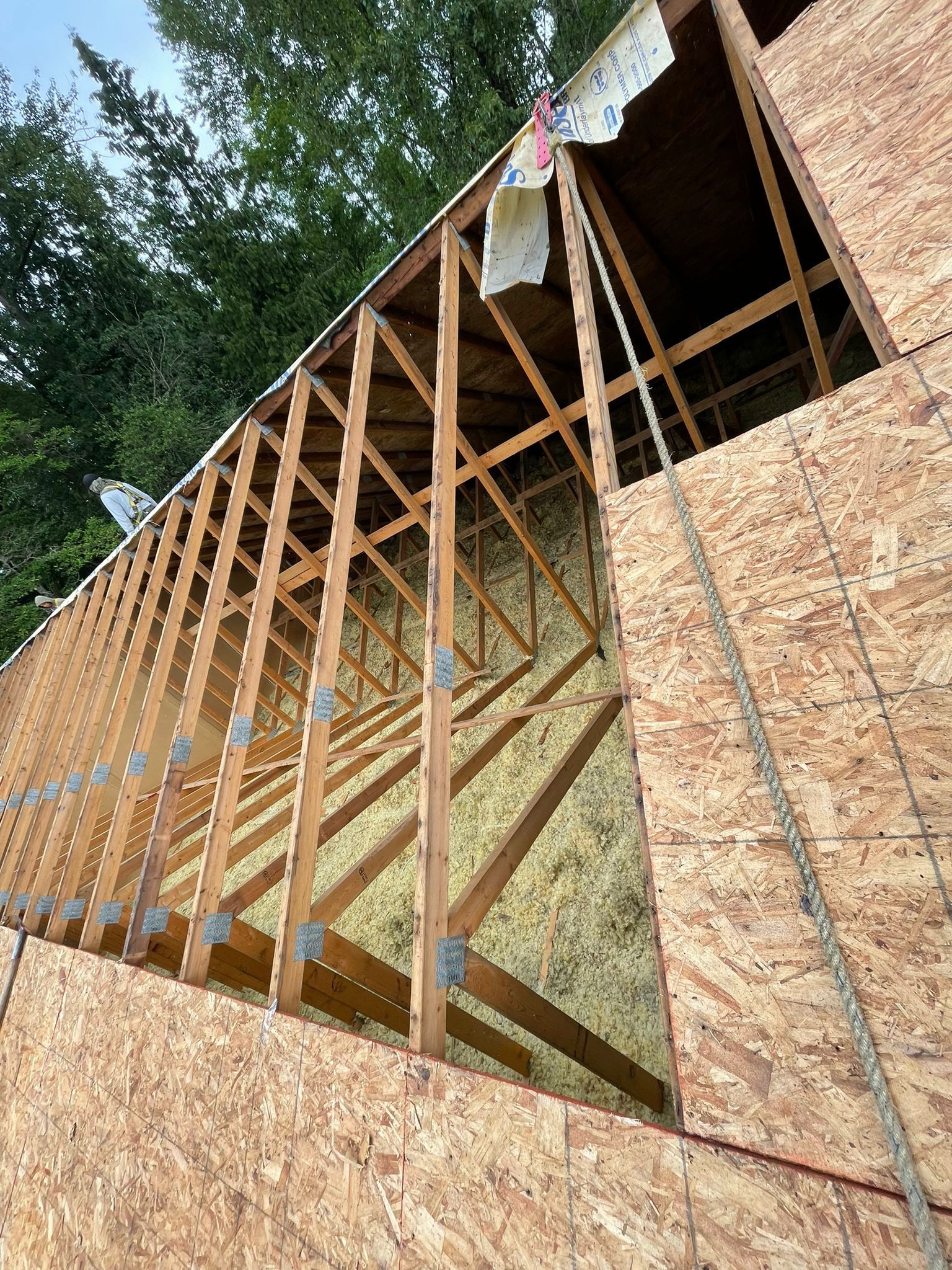 Unfinished house wall framing with plywood sheathing and exposed wooden trusses under a blue sky