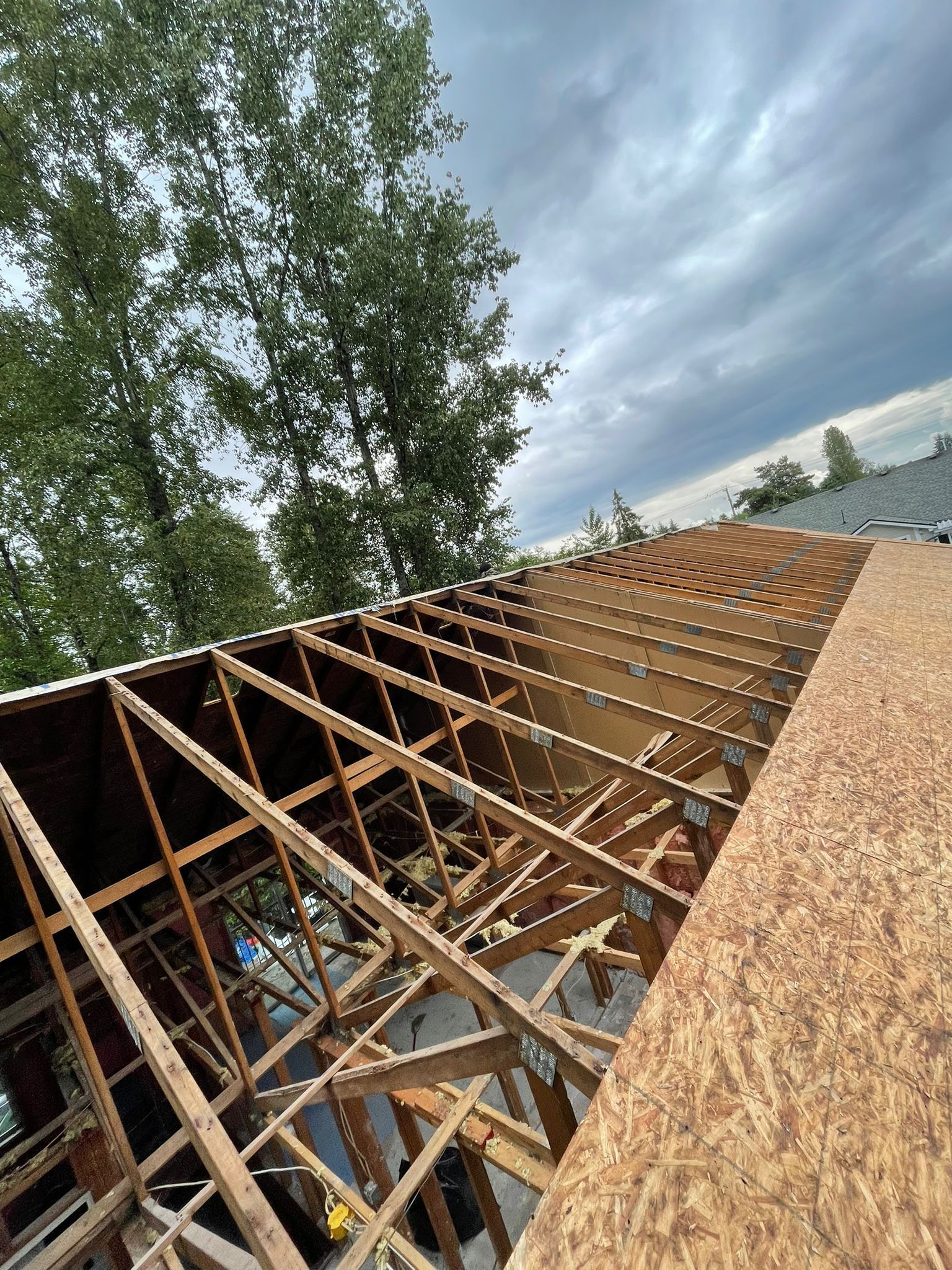 new roof replacment after wood deck removal service