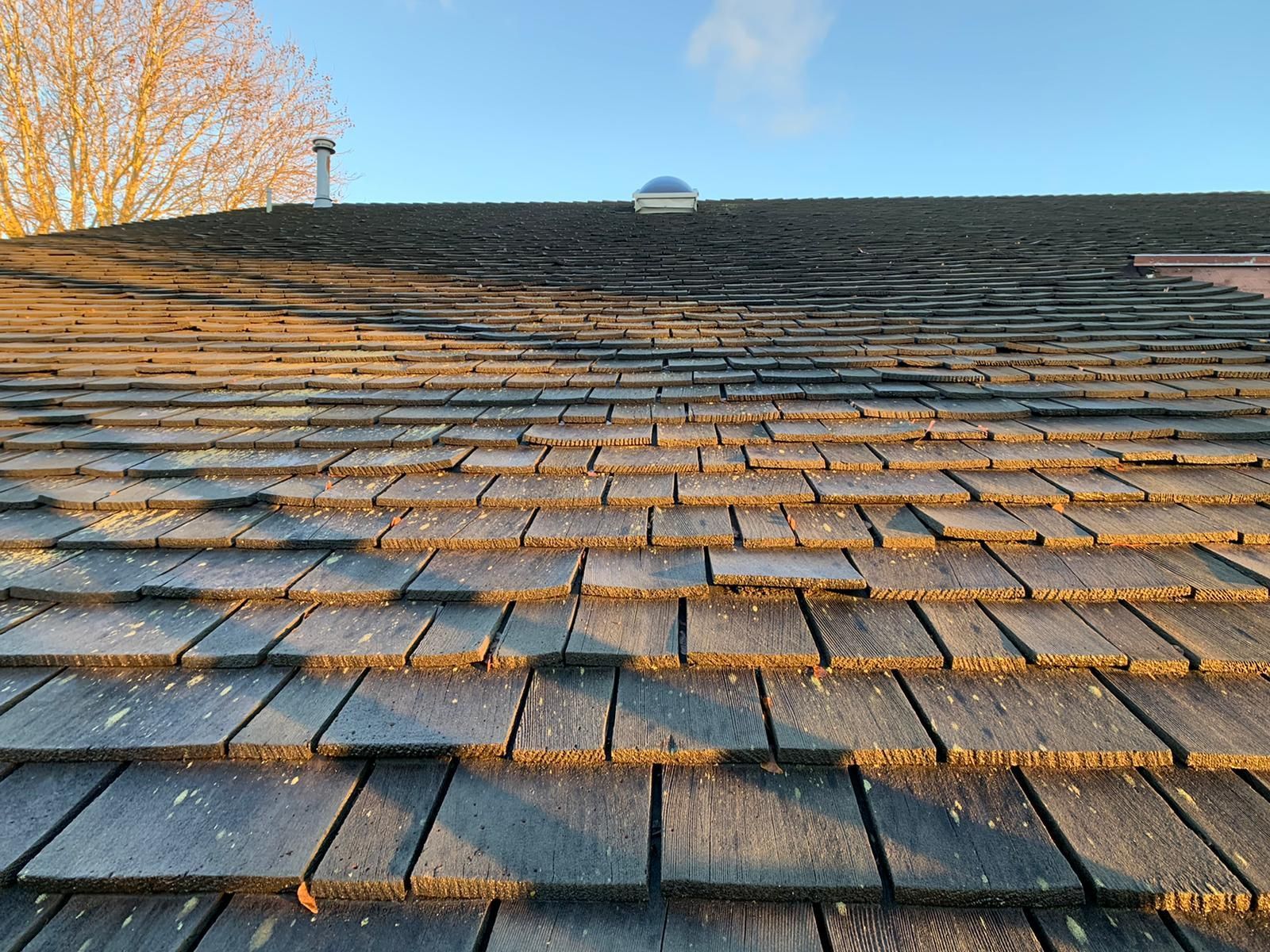 Paragon Roofing BC crew performing tear-off during a roof replacement project in Richmond British Columbia