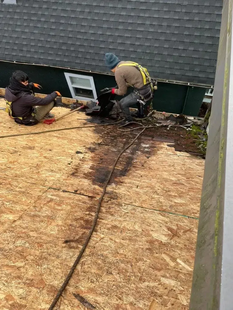 Two men are working on the roof of a house.