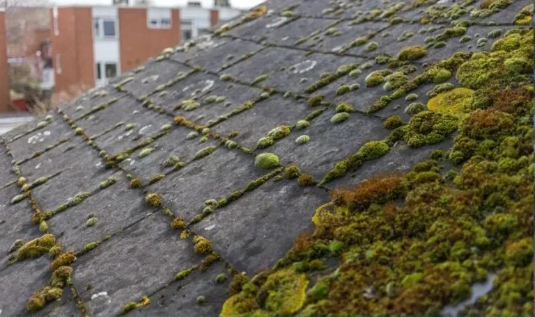 A roof with a vent on it and a building in the background.