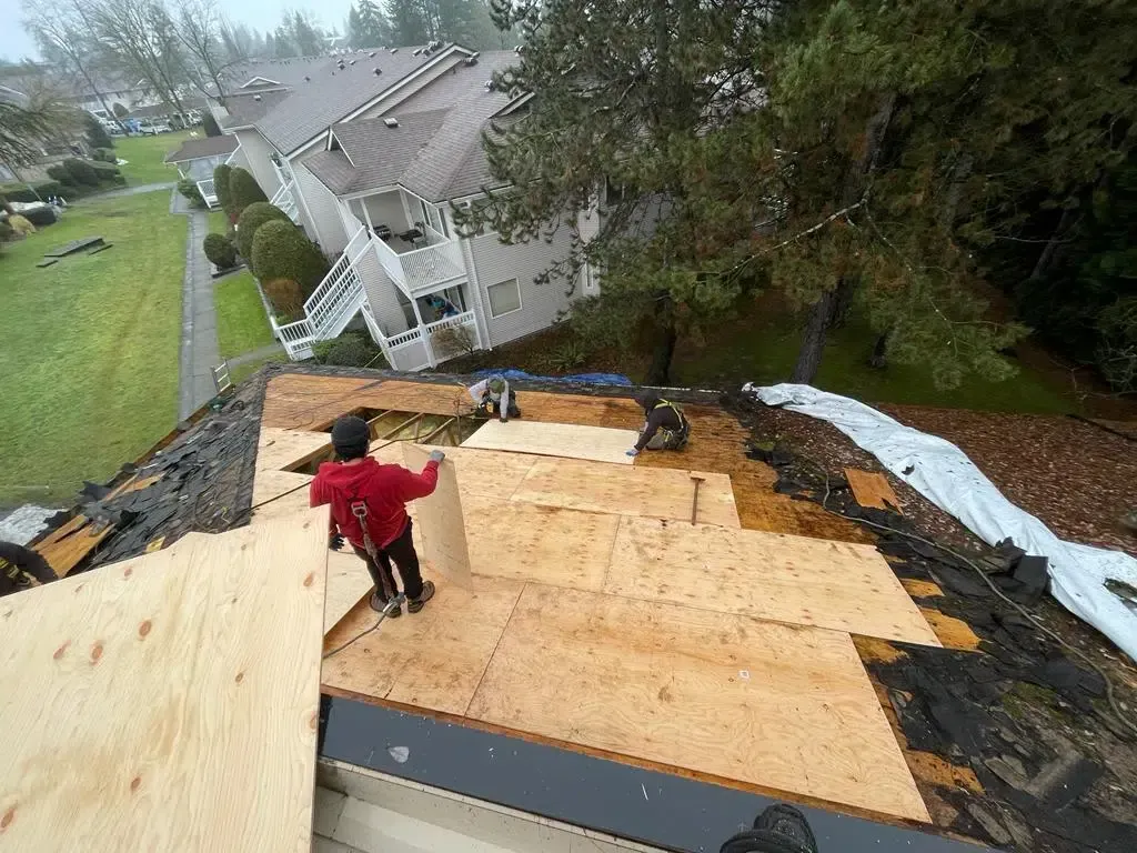 Person on a roof under repair, with plywood sheets and a wet suburban neighborhood below.