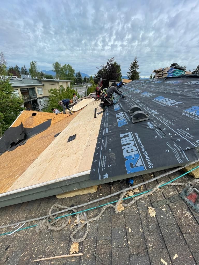 A roof is being installed on a house.