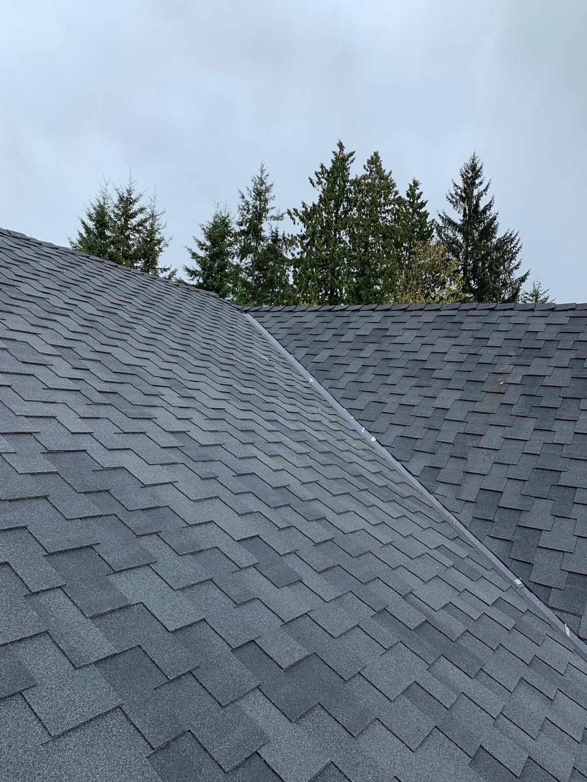 A close up of a roof with trees in the background.